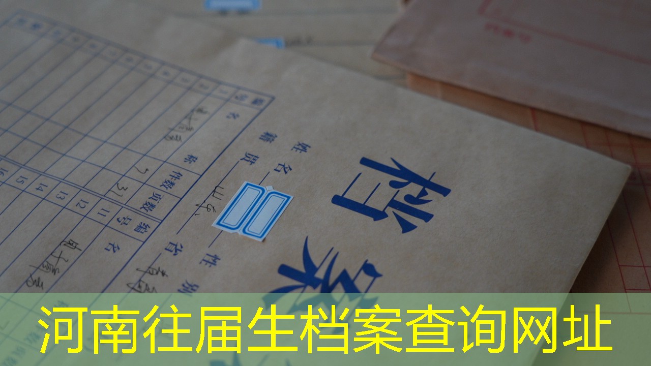 档案查询