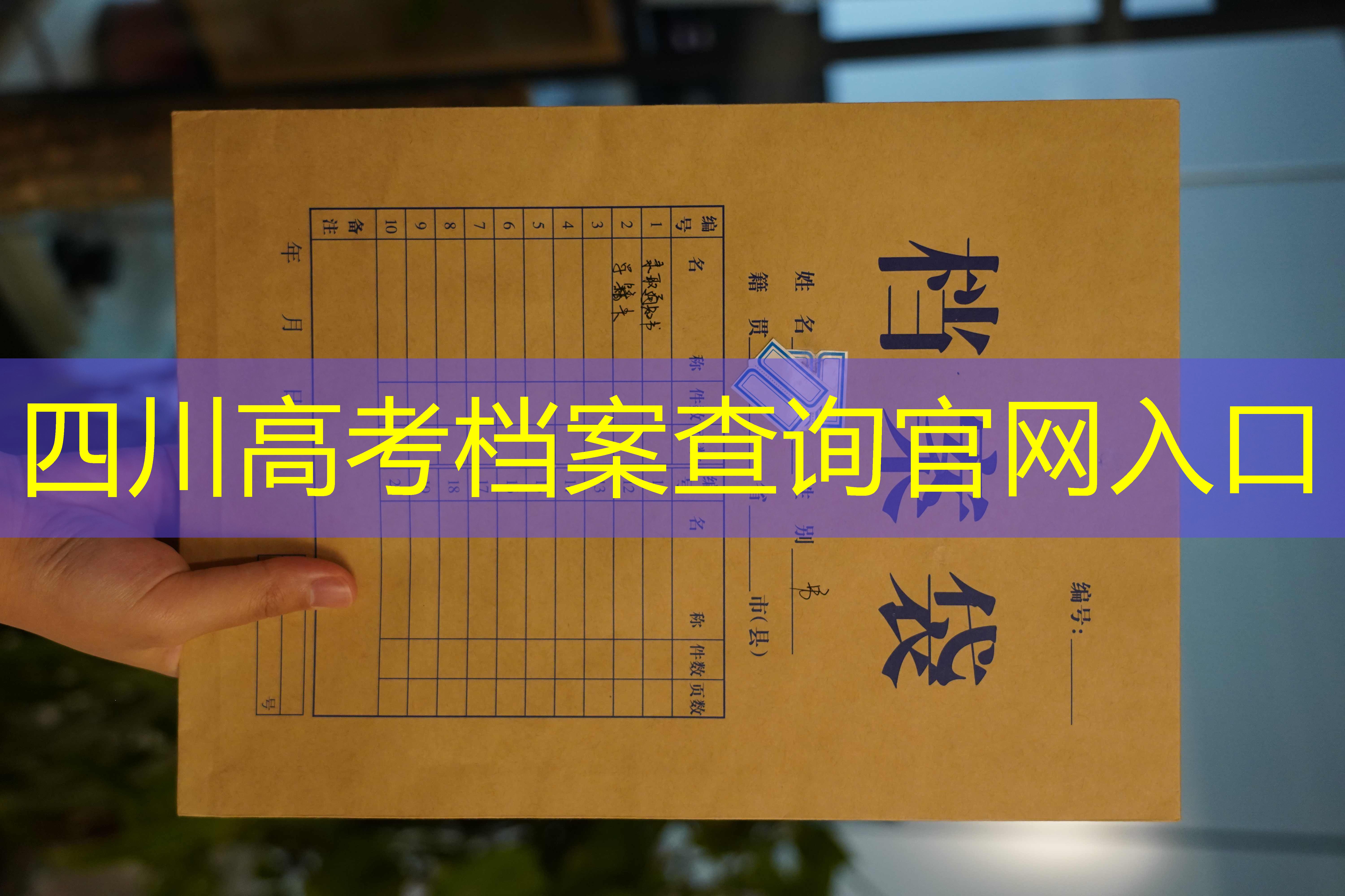 档案查询