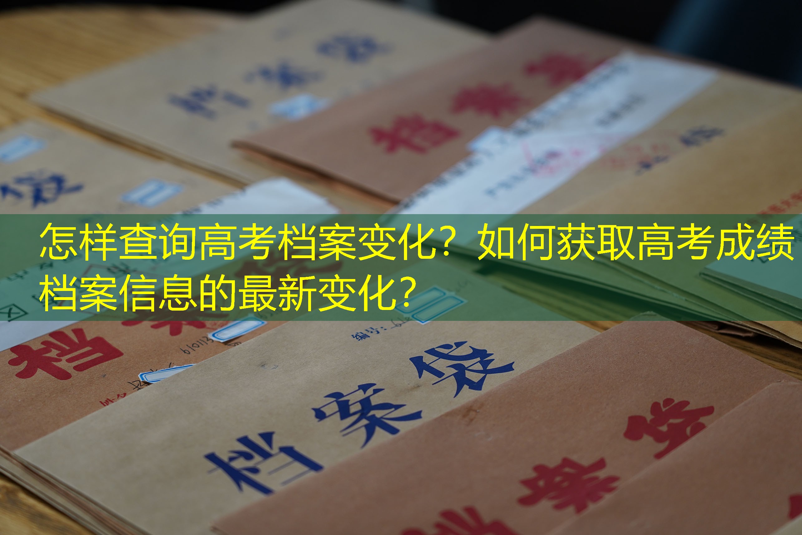 档案查询