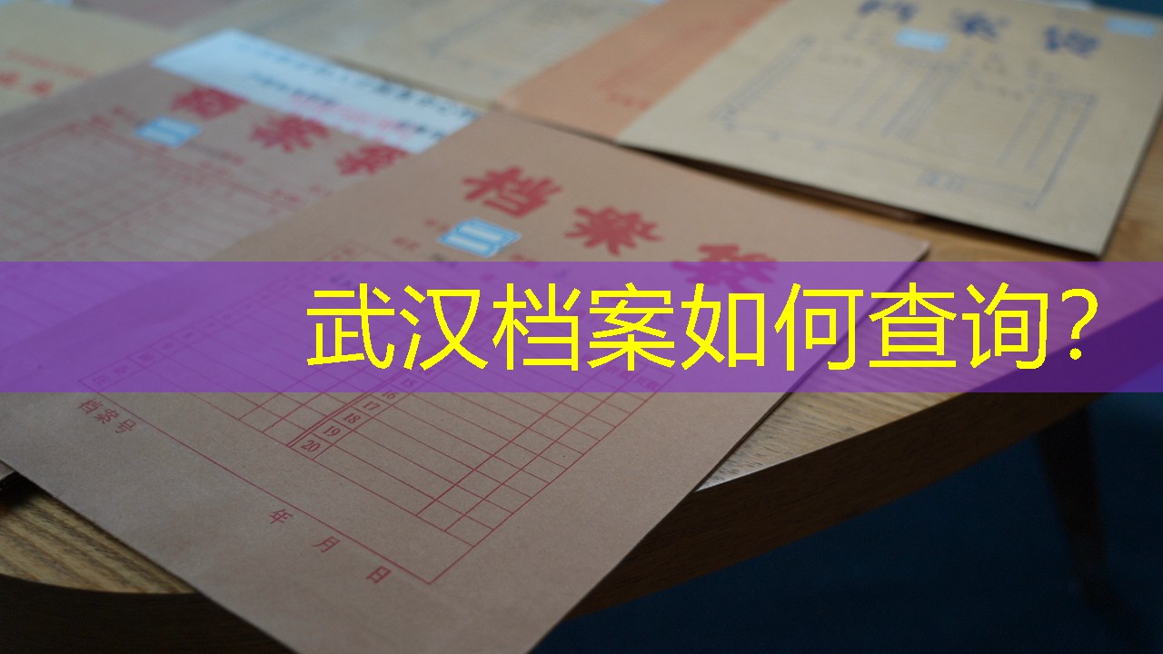 档案查询