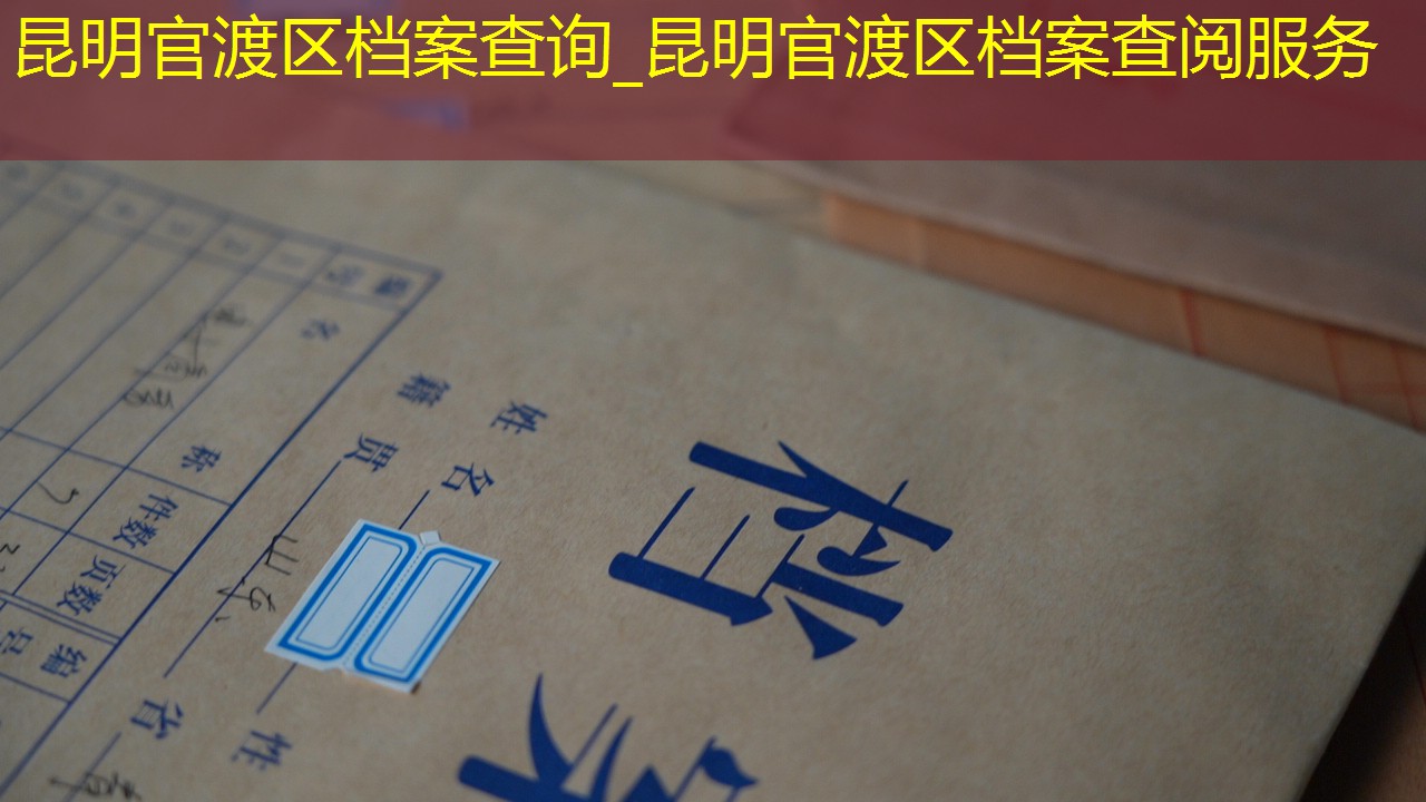 档案查询