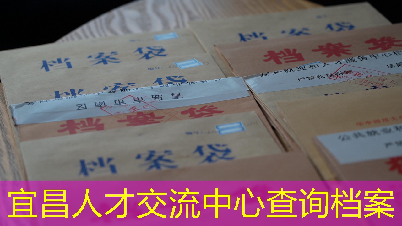 档案查询