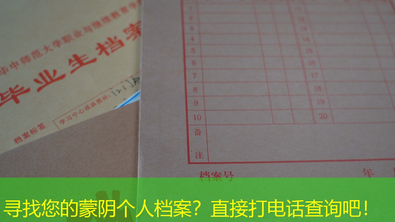 档案查询