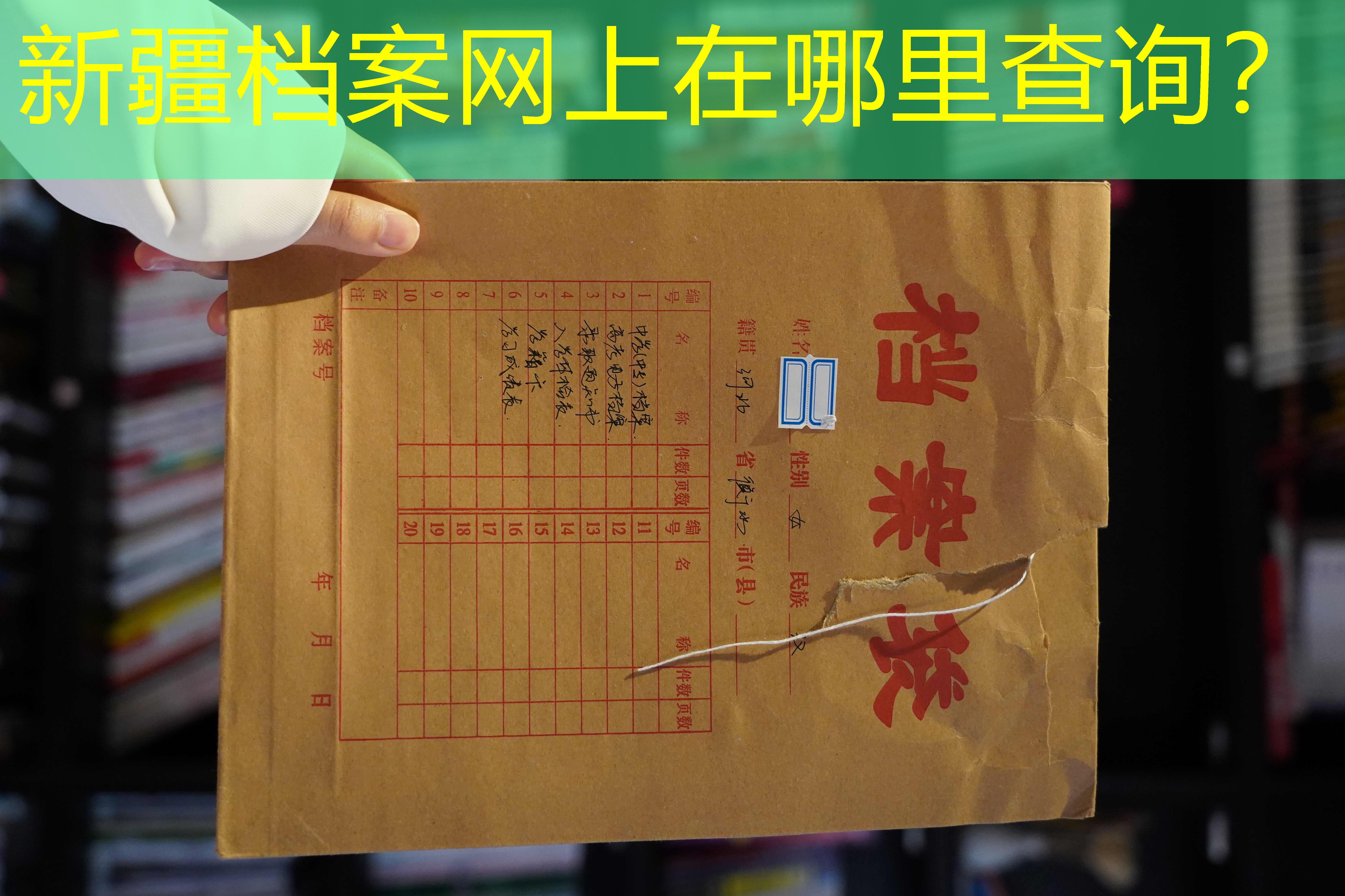 档案查询