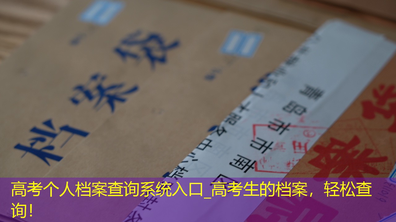 档案查询