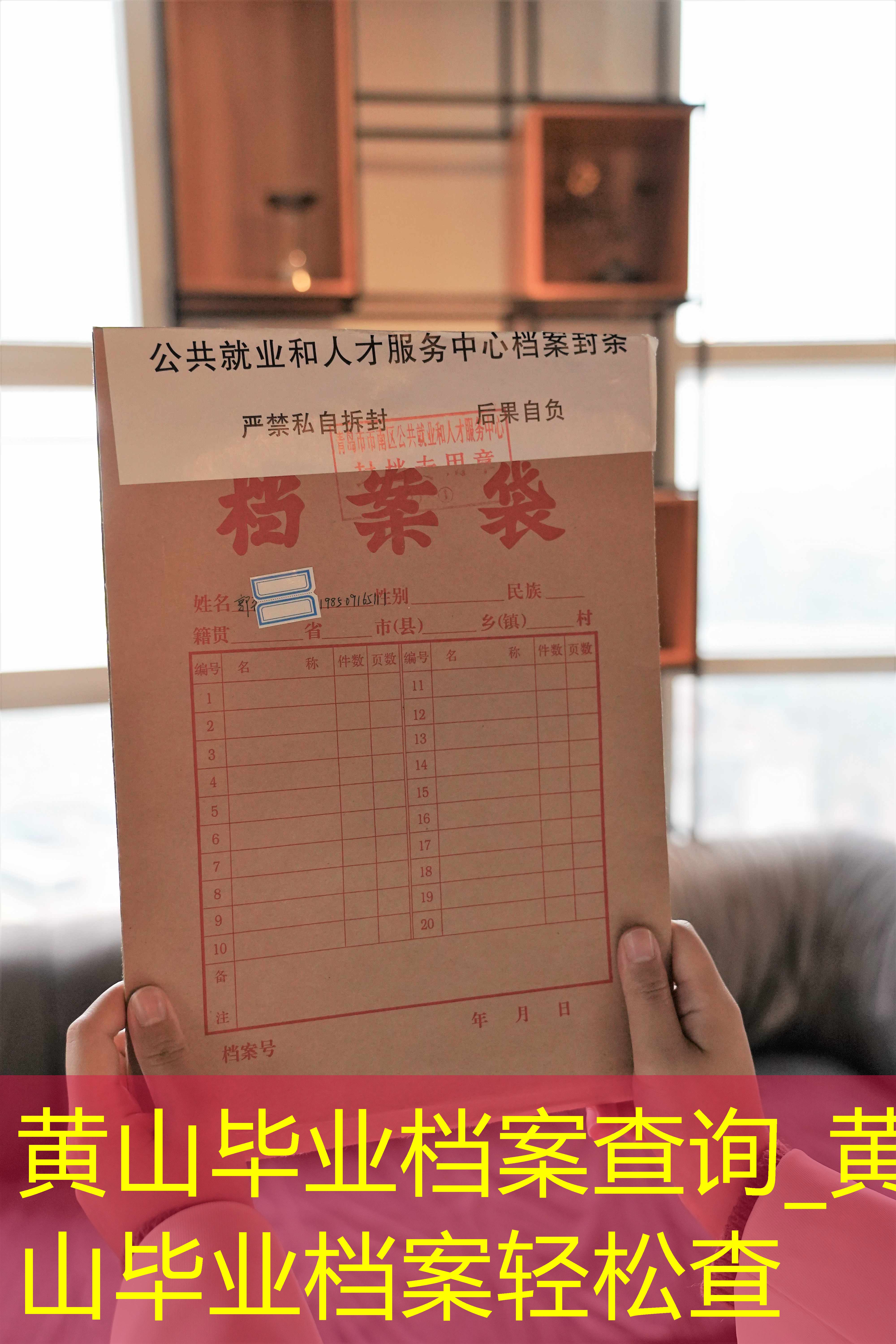 档案查询