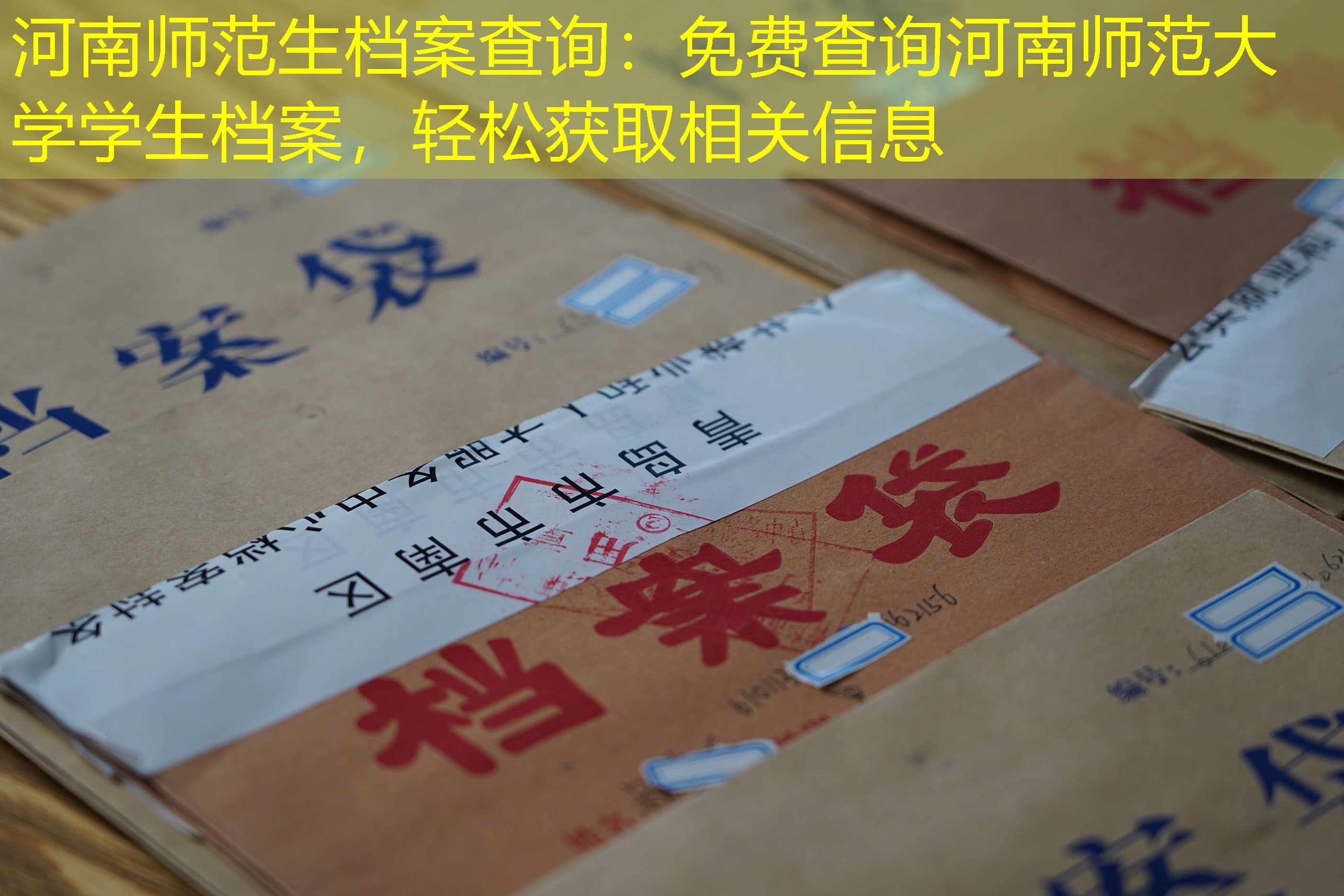 档案查询