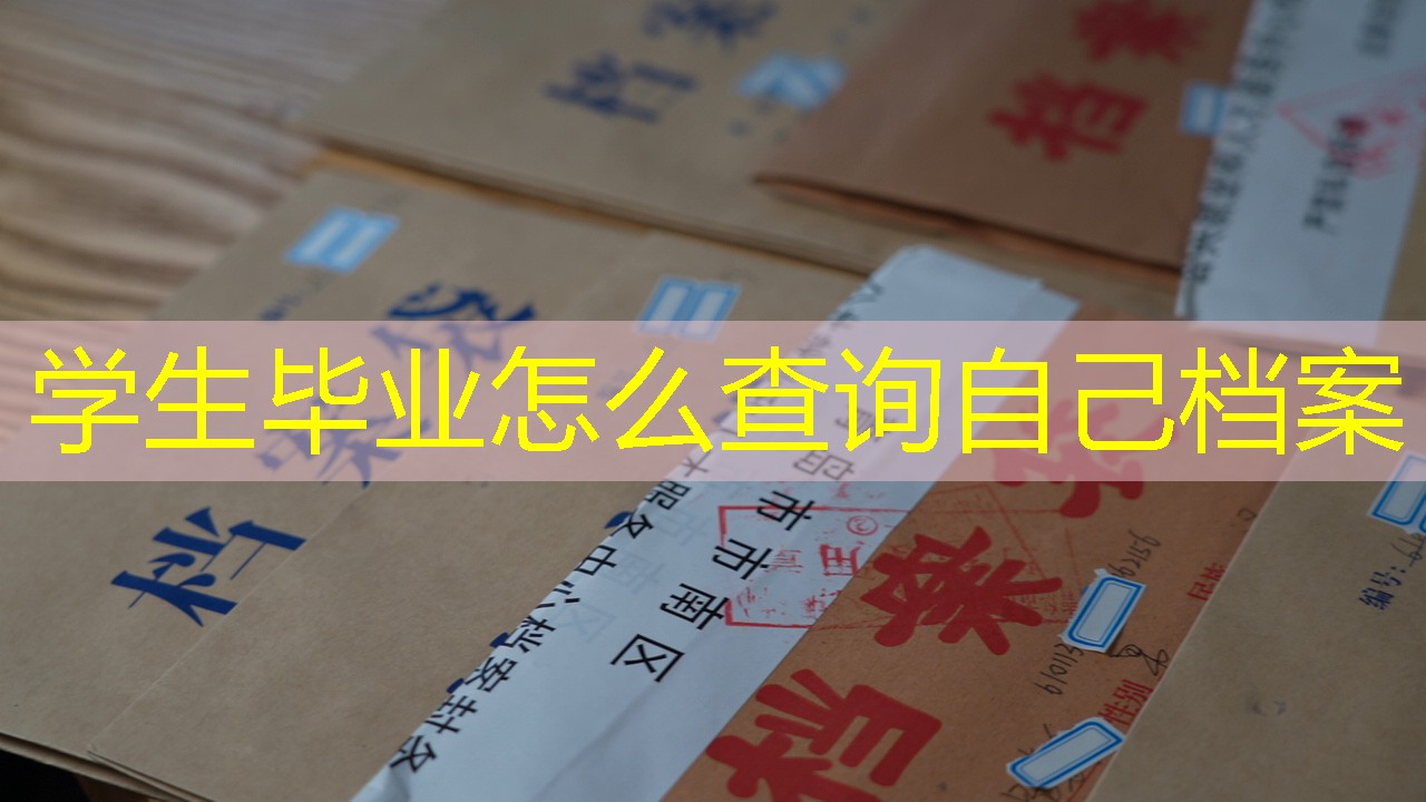 档案查询