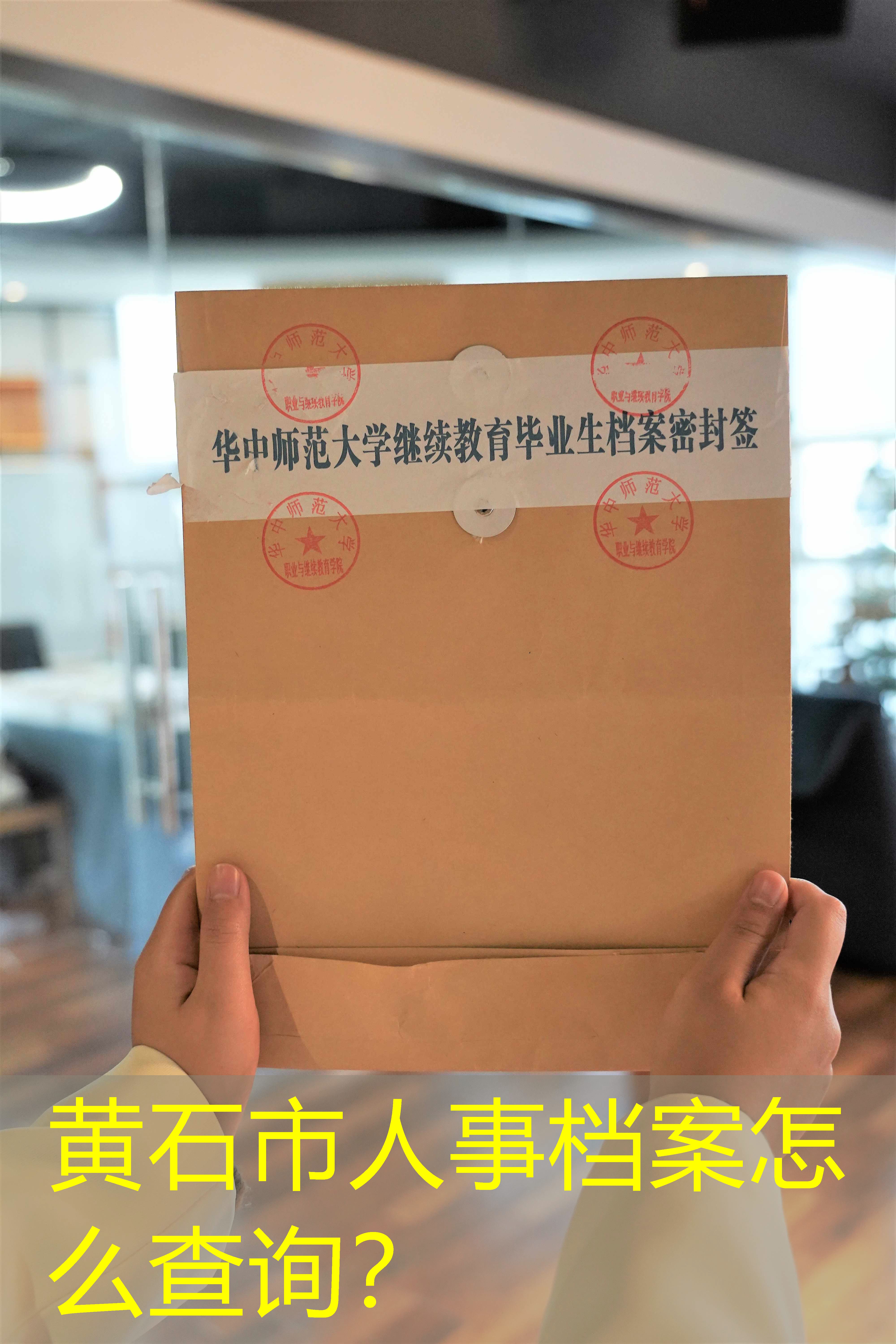 档案查询