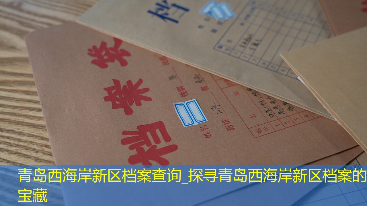 档案查询