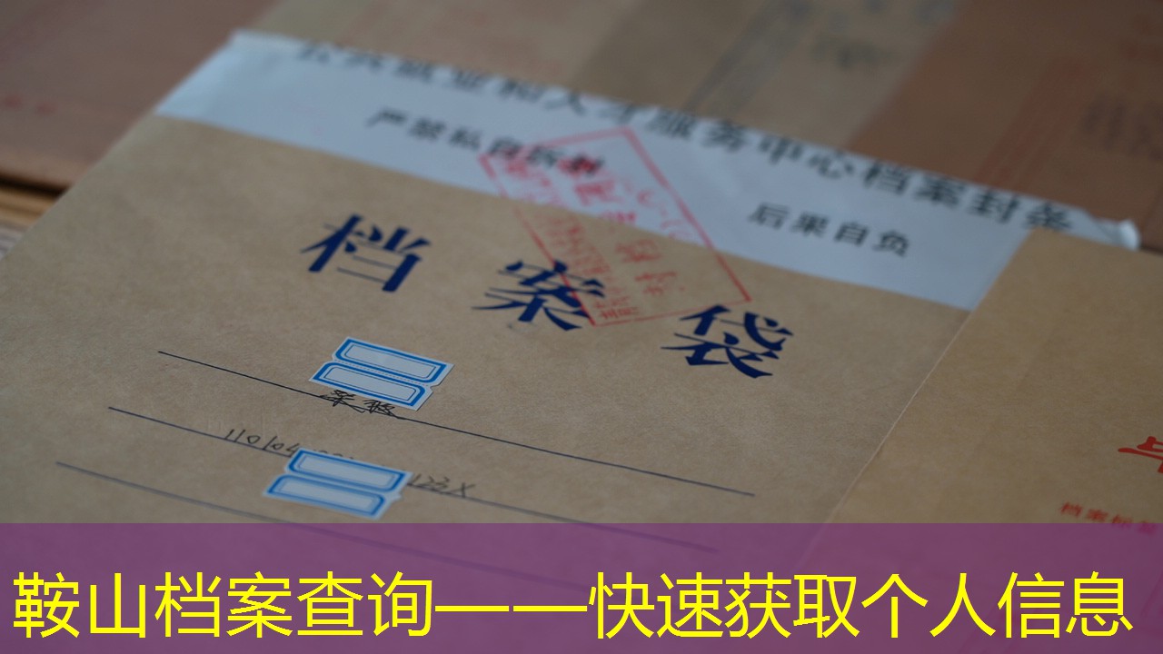 档案查询
