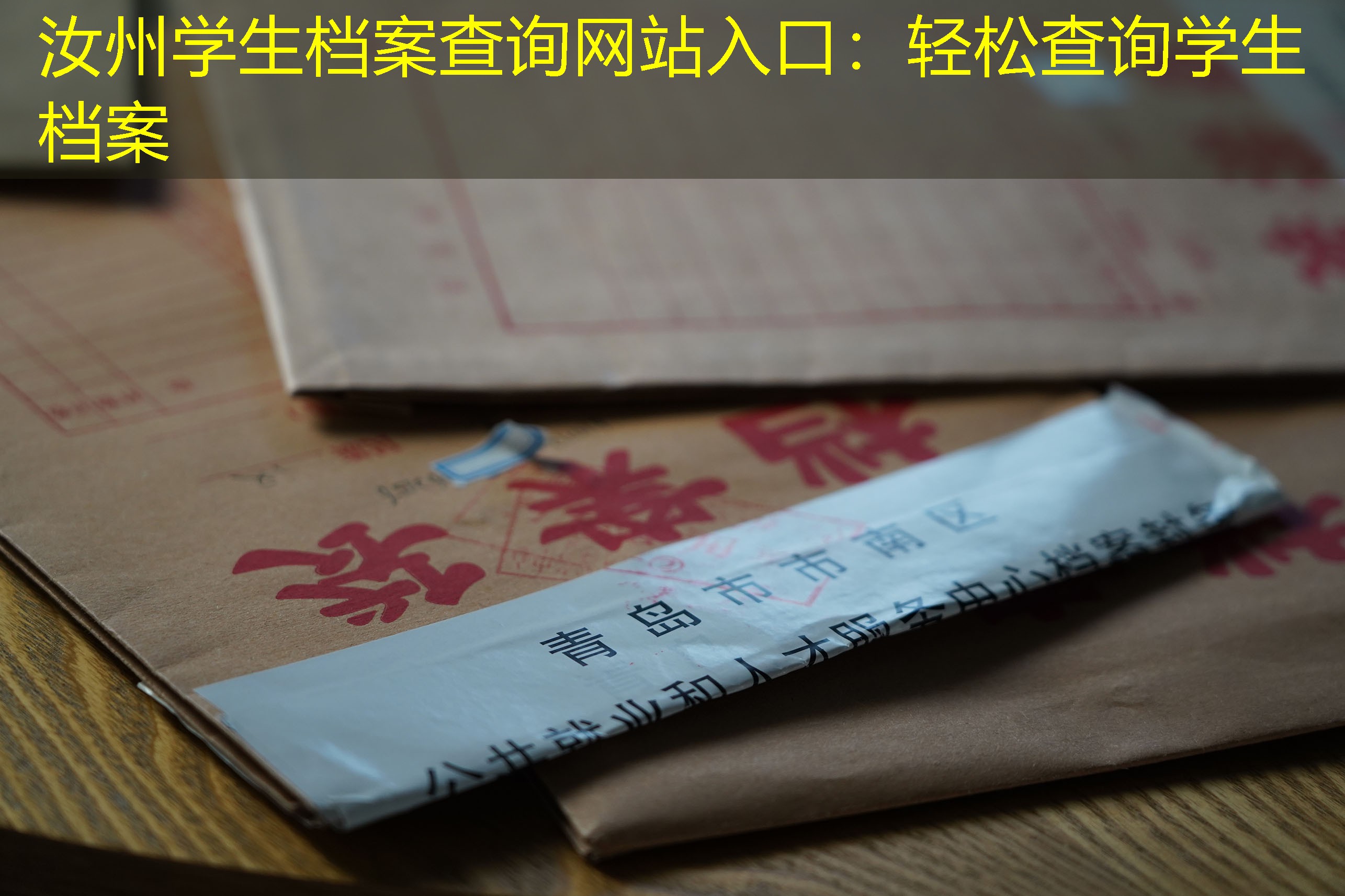 档案查询