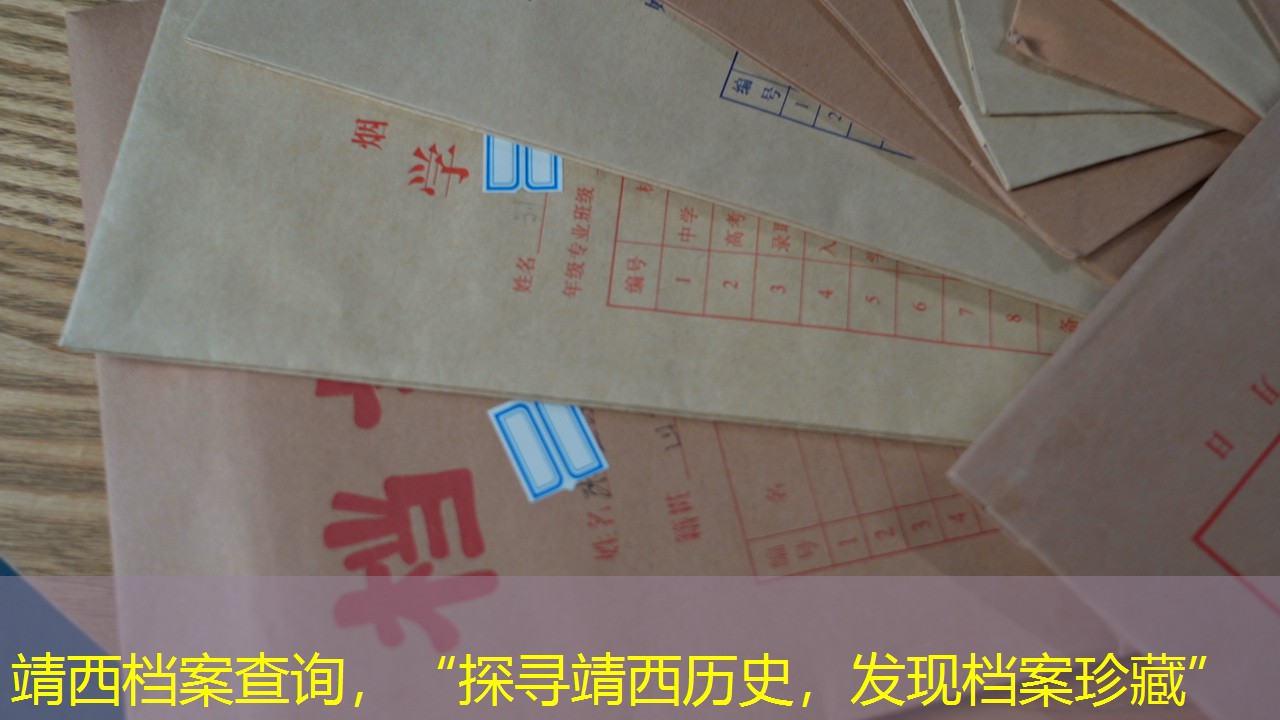 档案查询