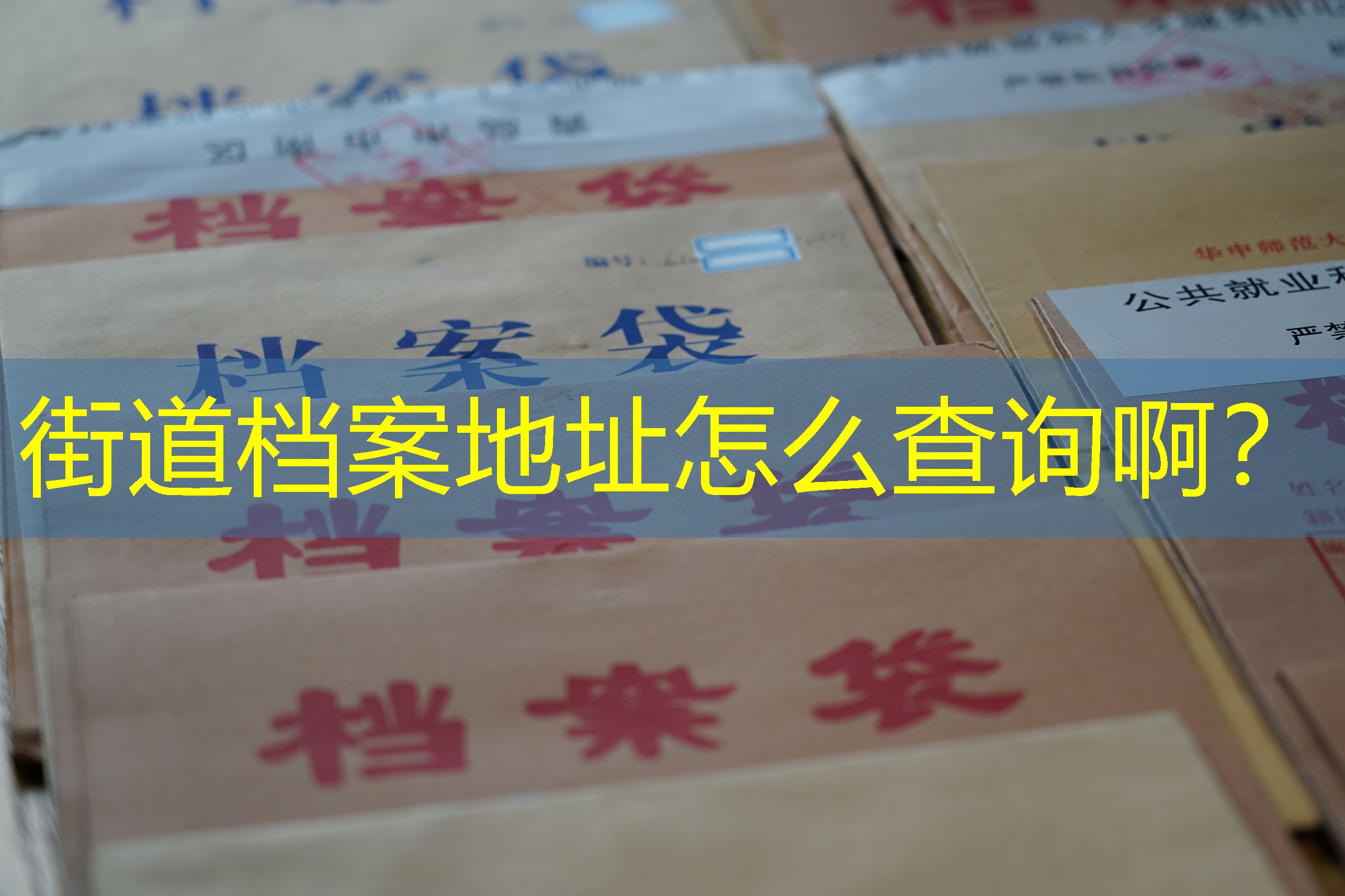 档案查询