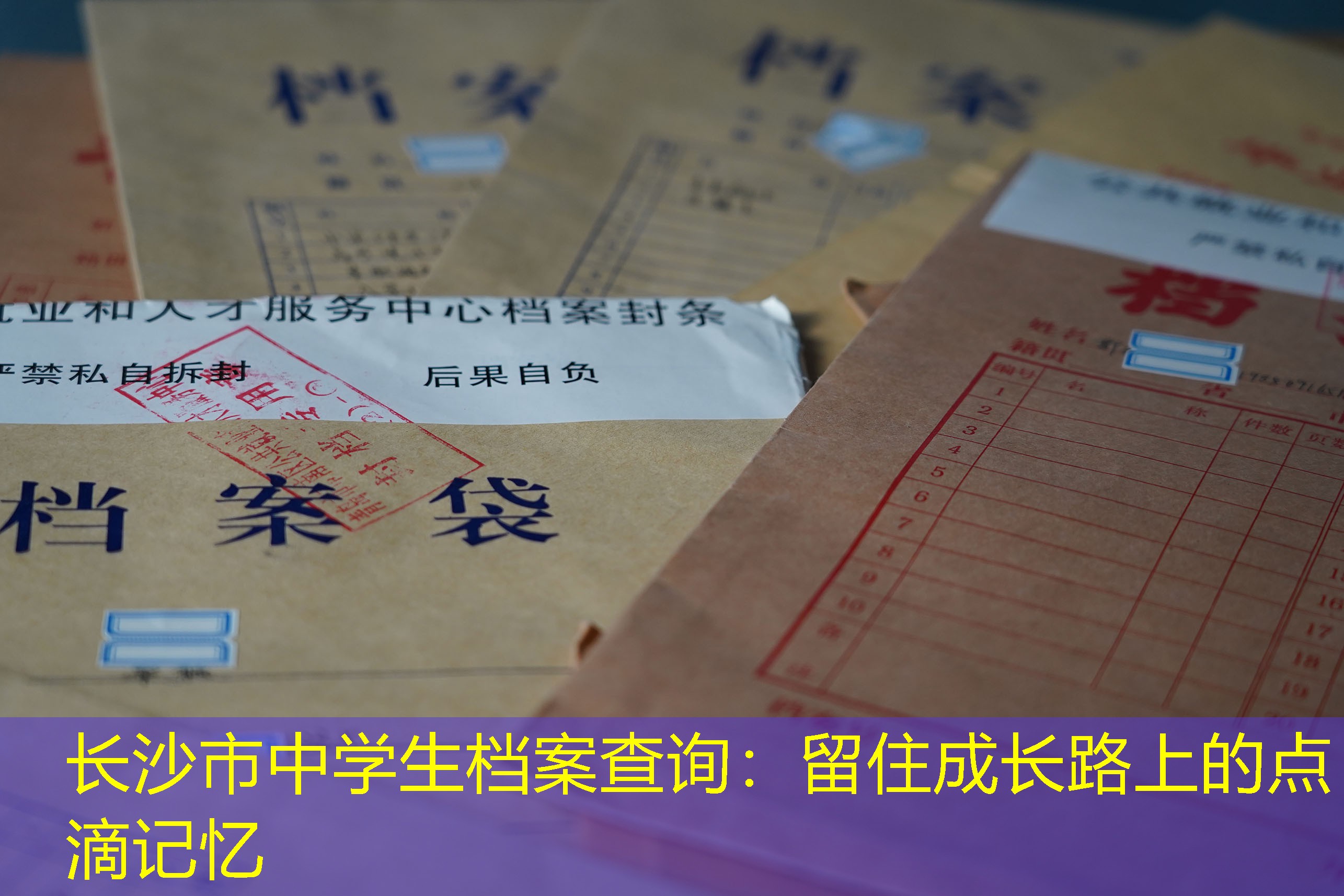 档案查询