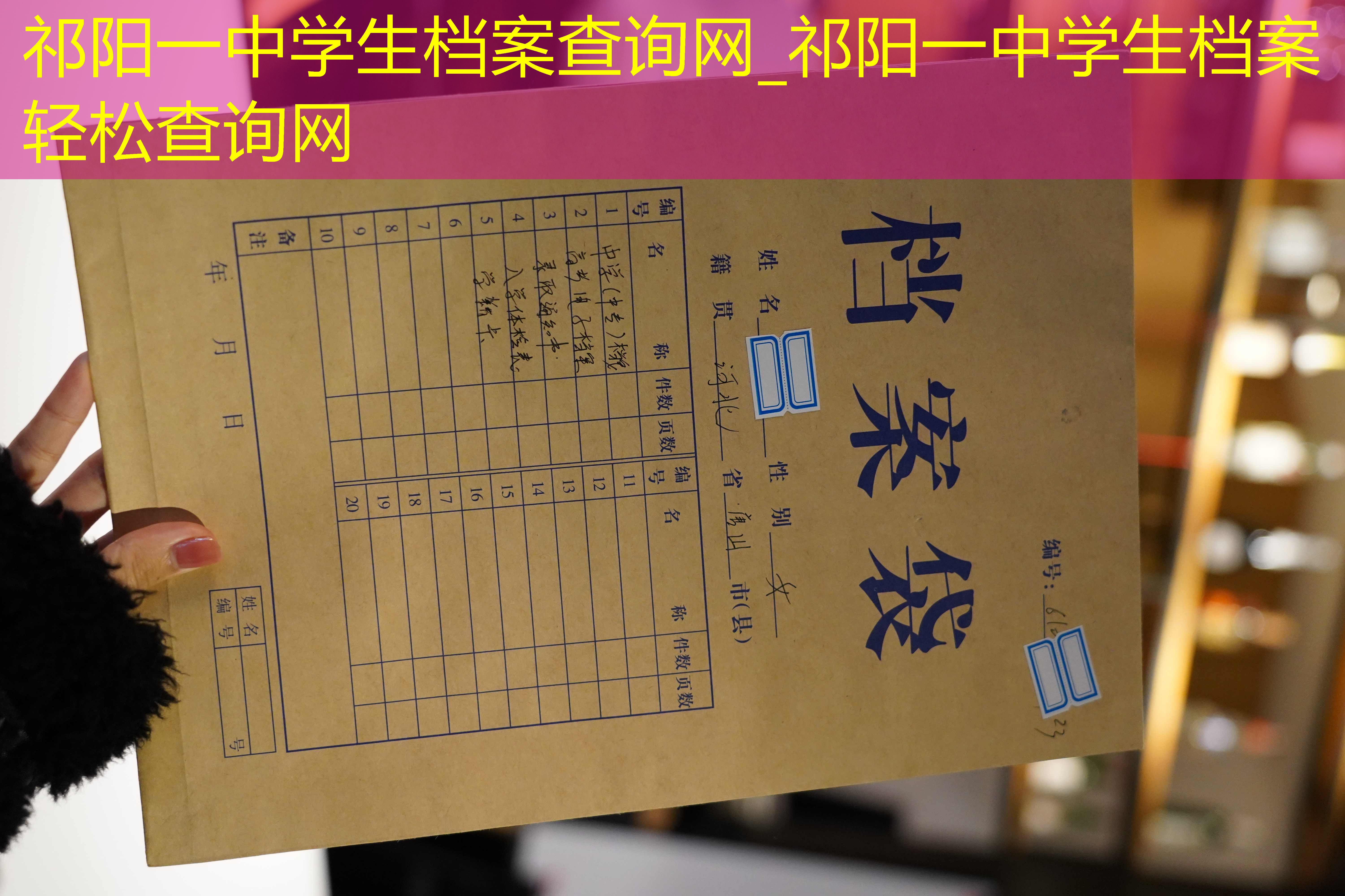 档案查询