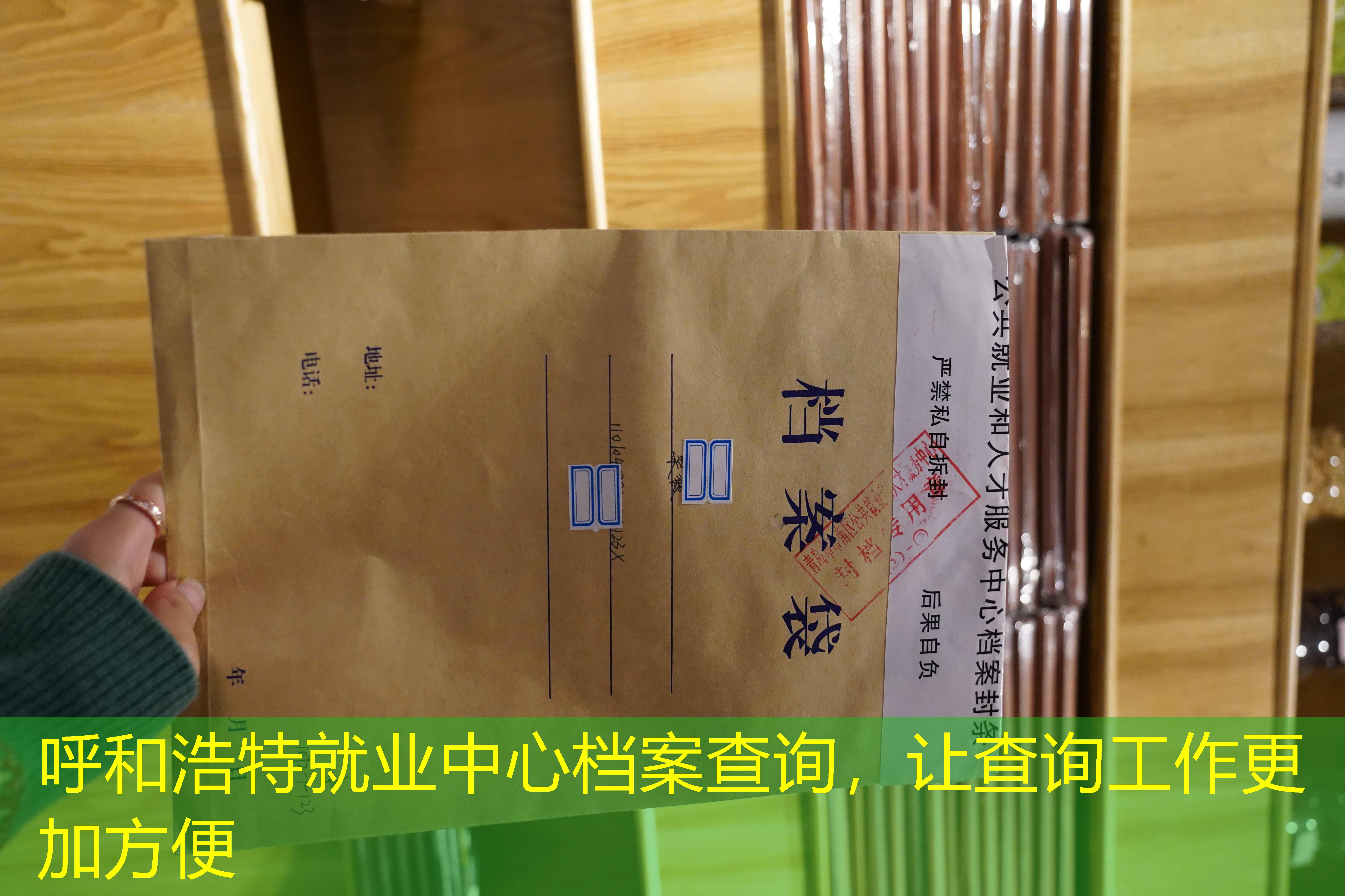 档案查询