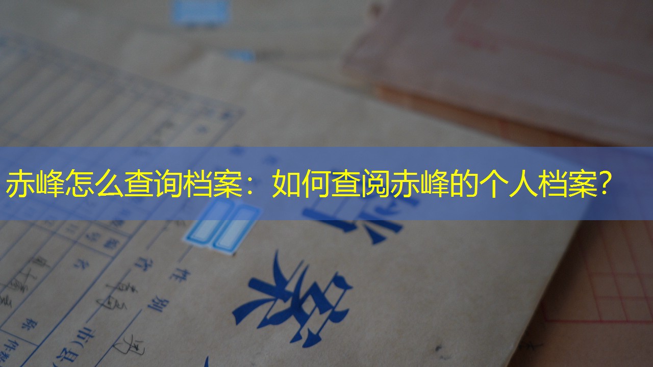 档案查询