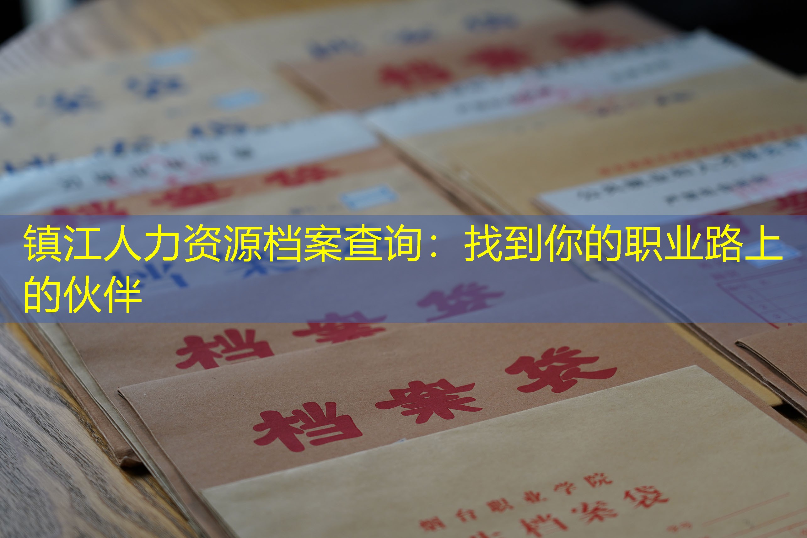 档案查询