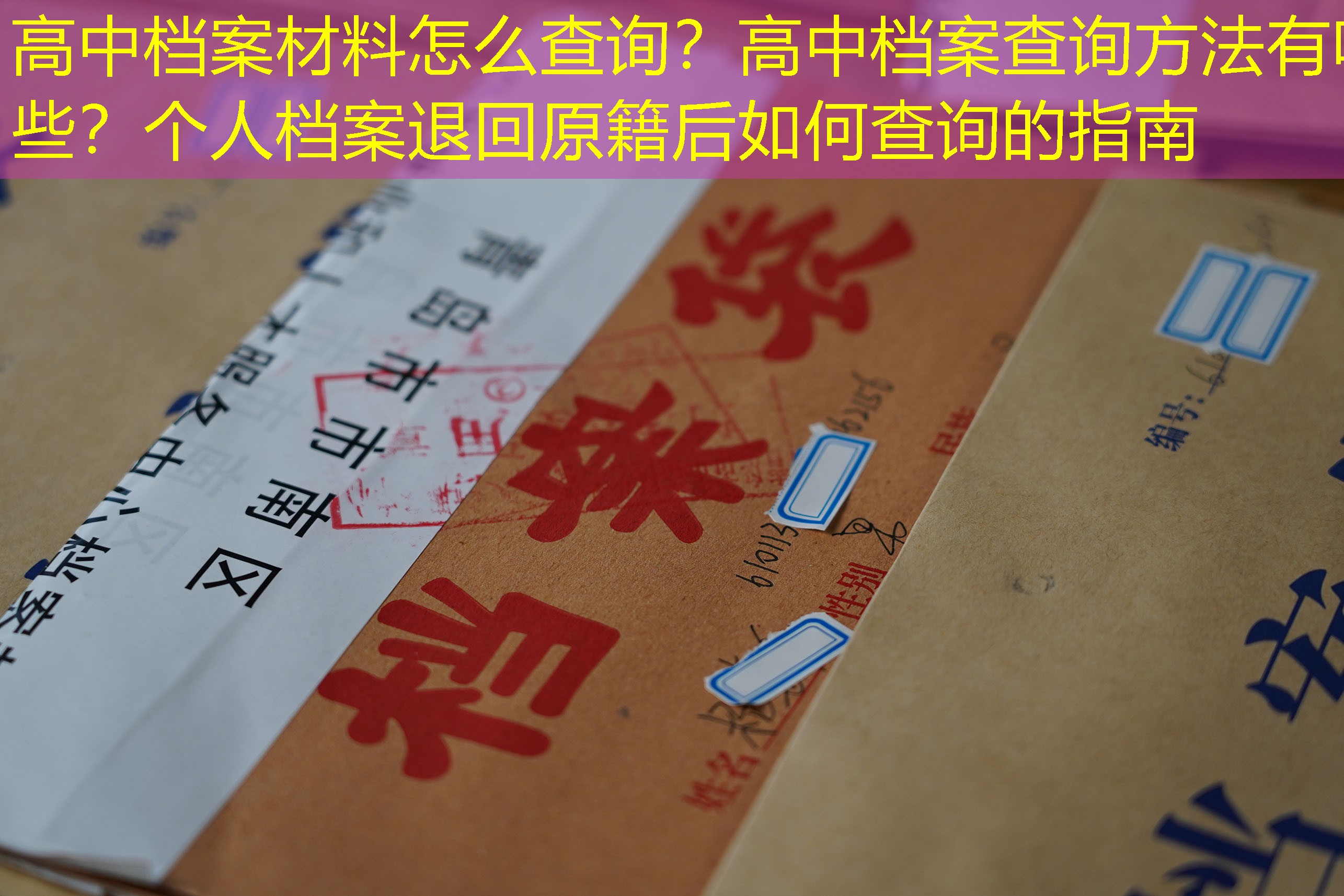 档案查询