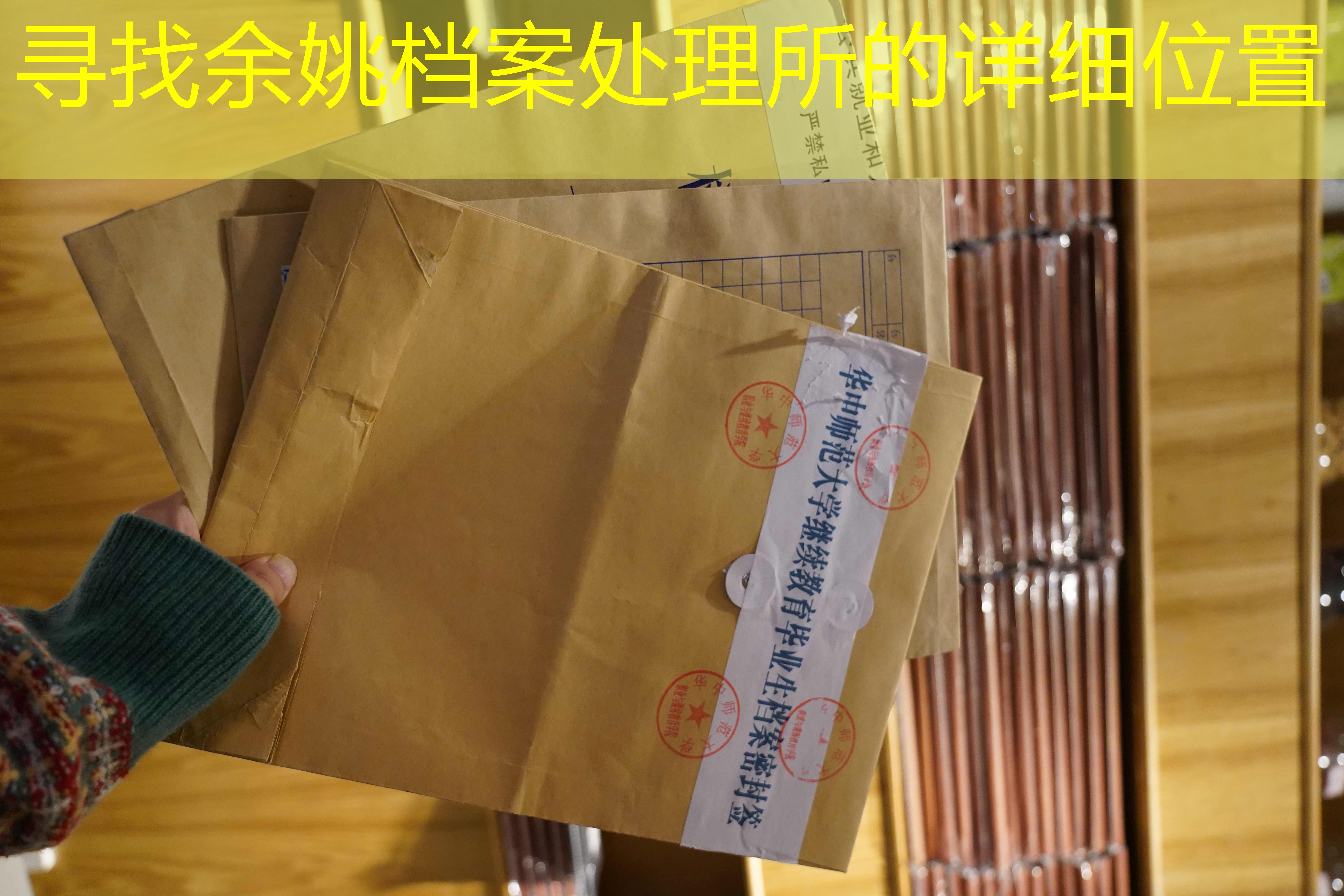 档案查询
