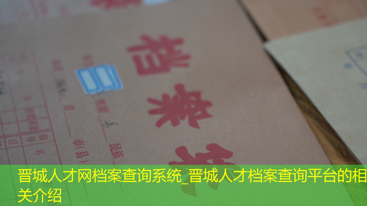 档案查询