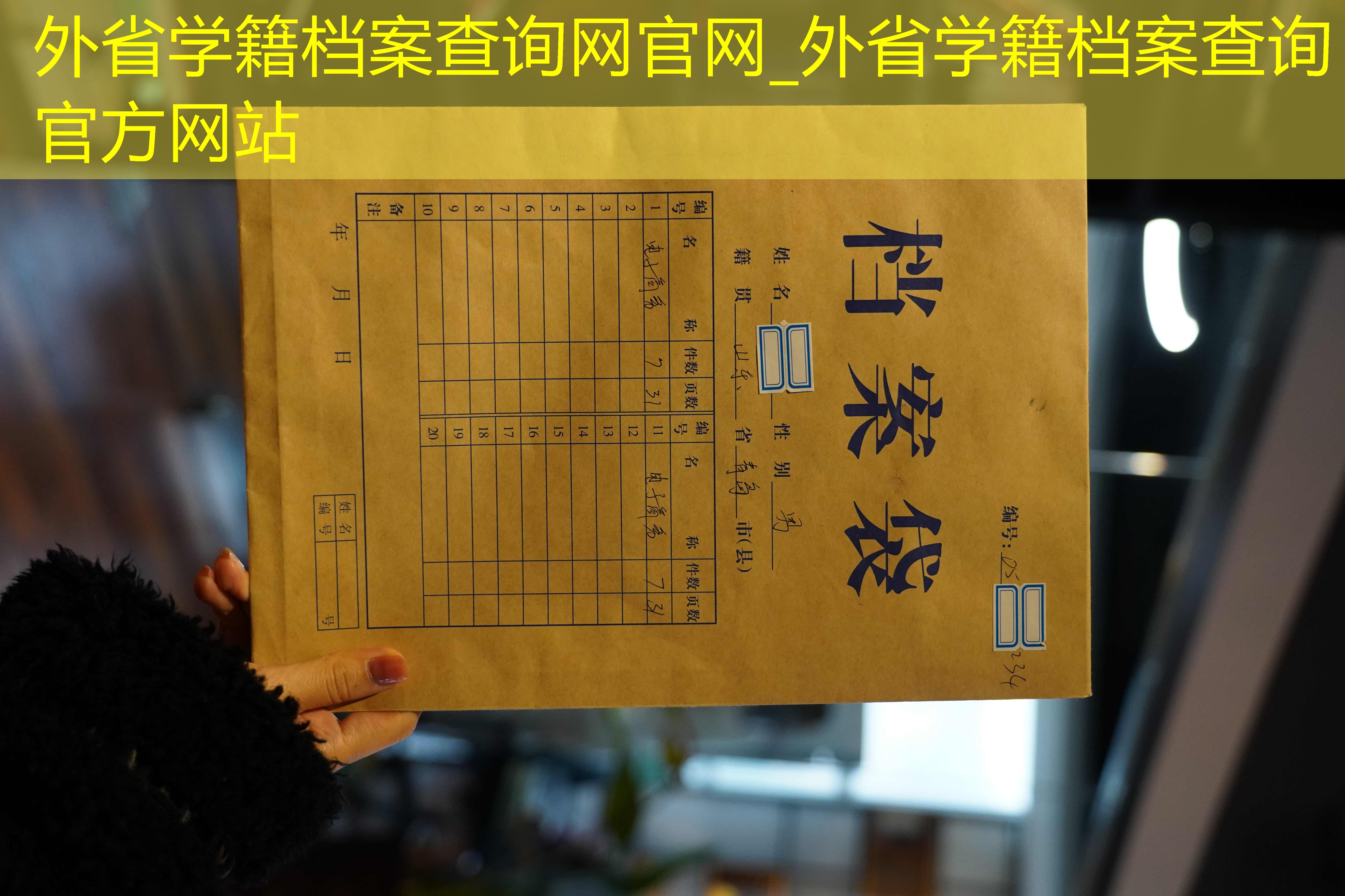 档案查询