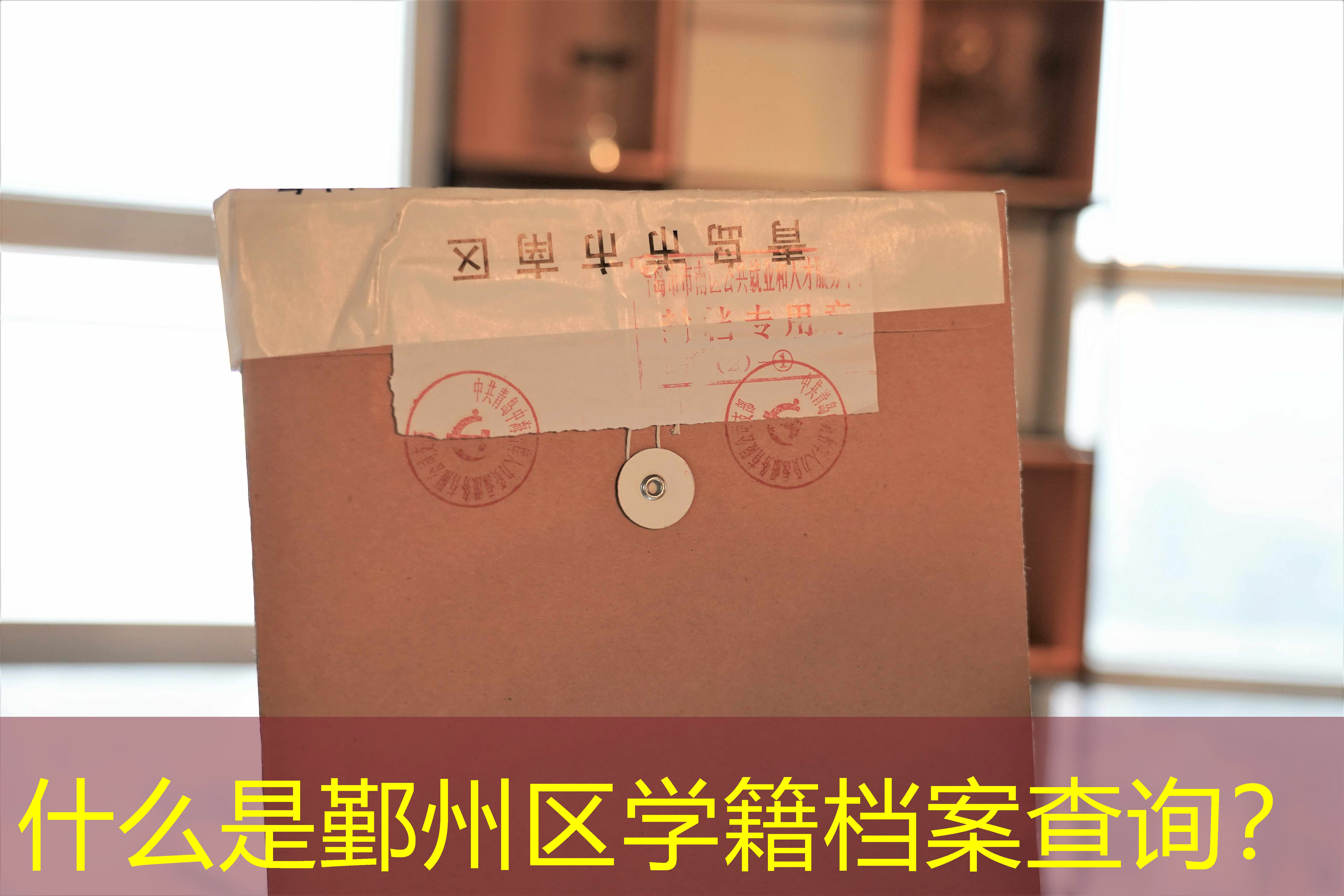 档案查询