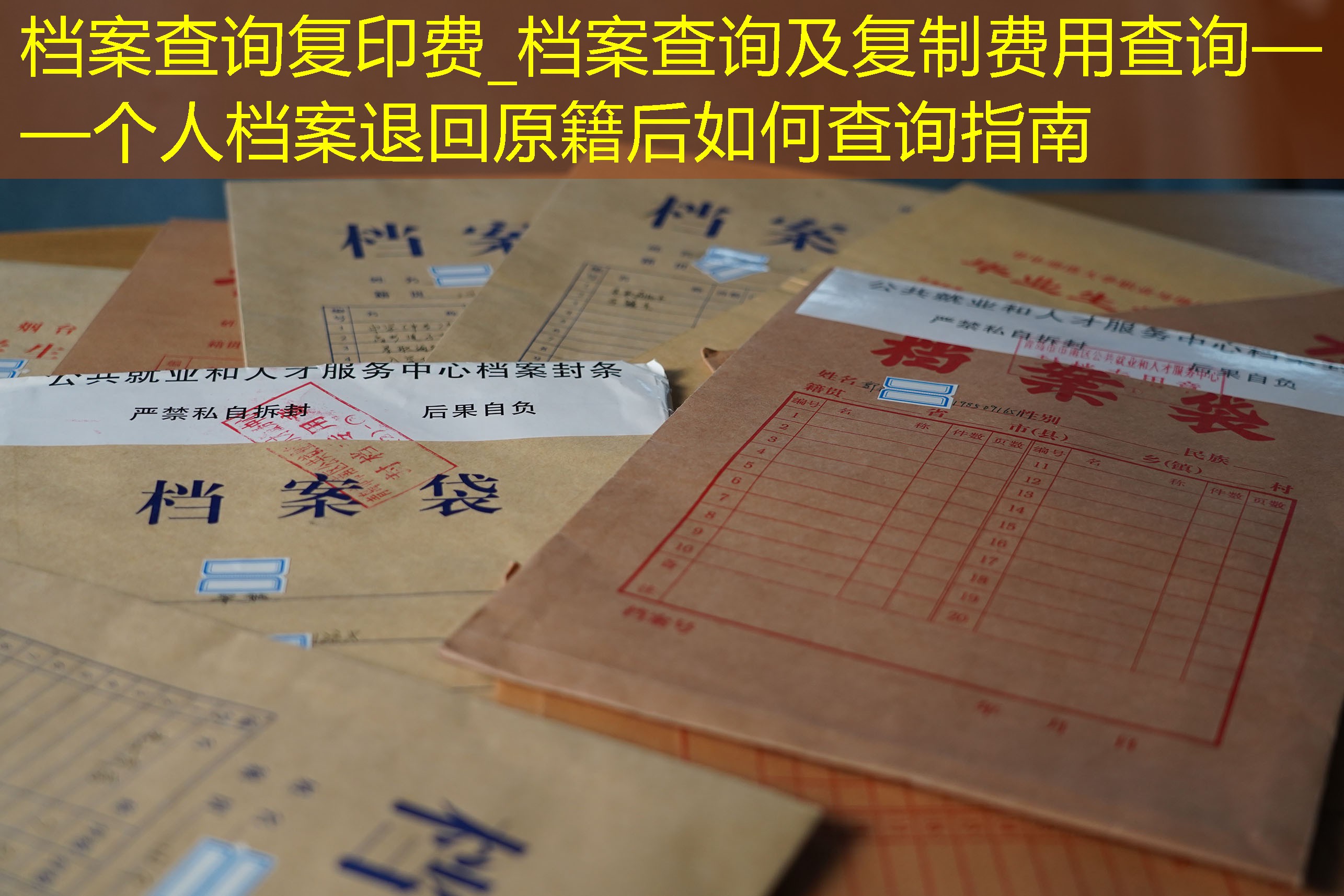 档案查询