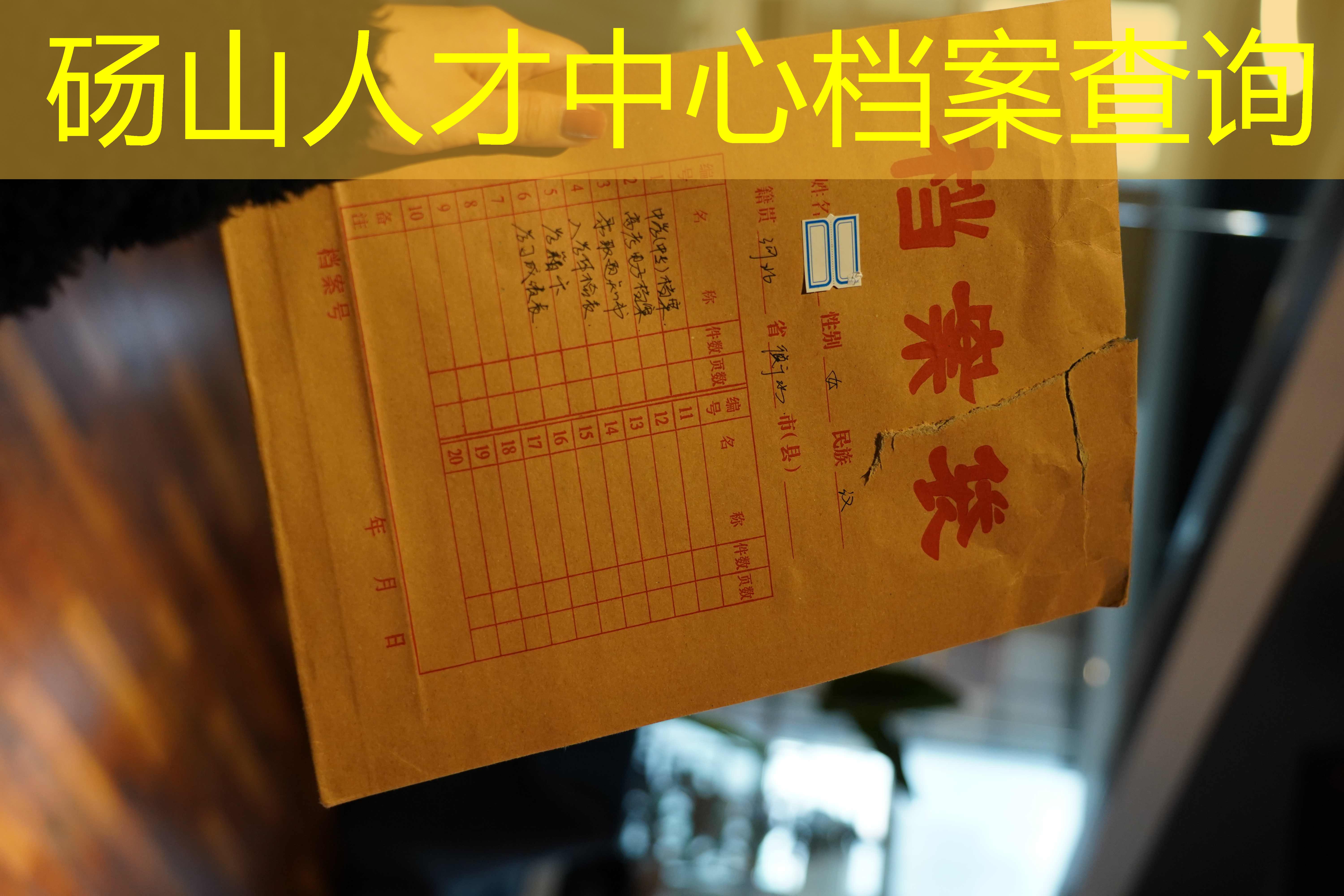 档案查询