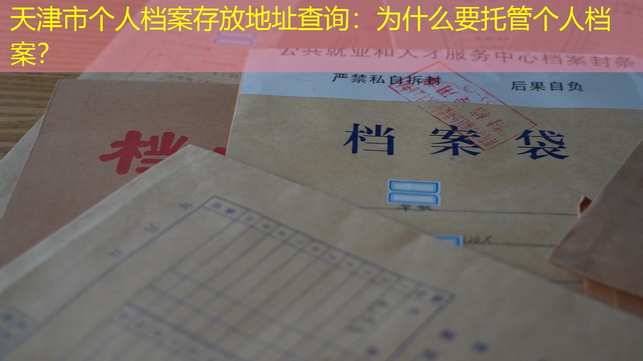 档案查询