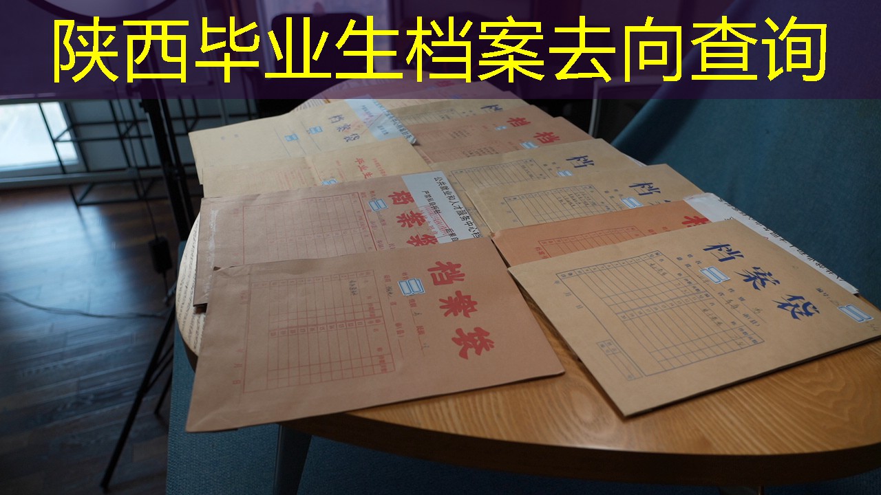 档案查询
