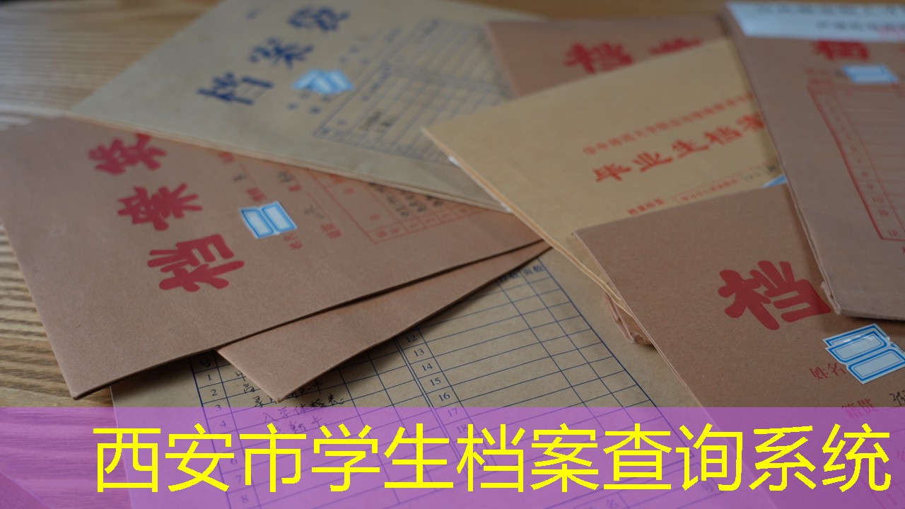 档案查询