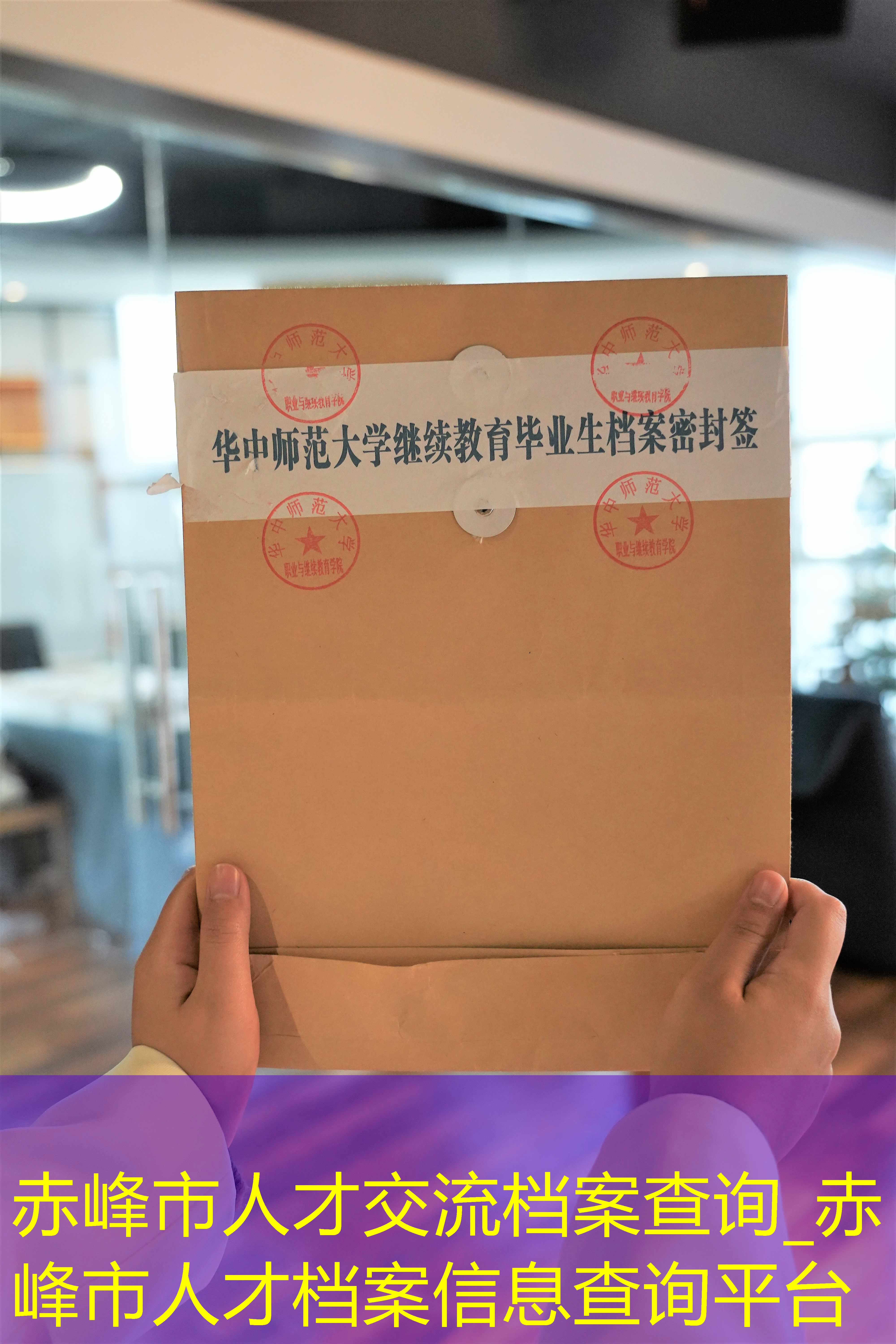 档案查询