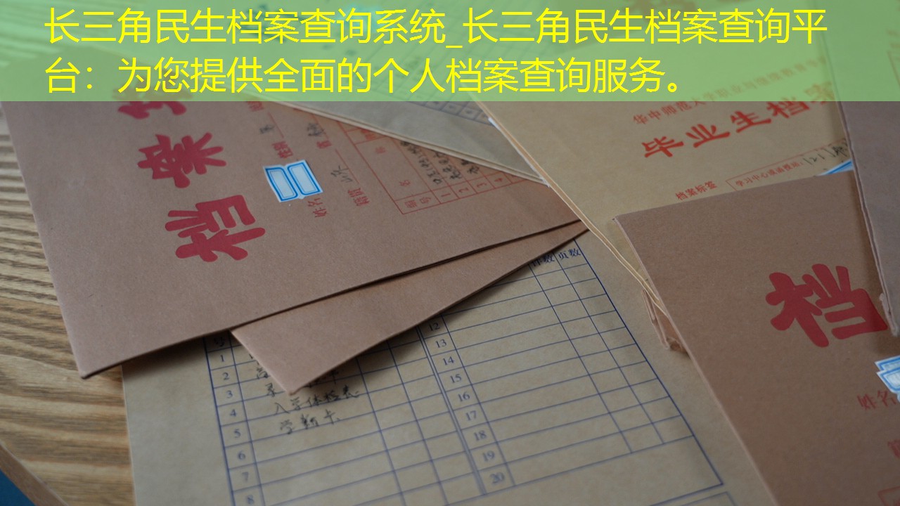 档案查询