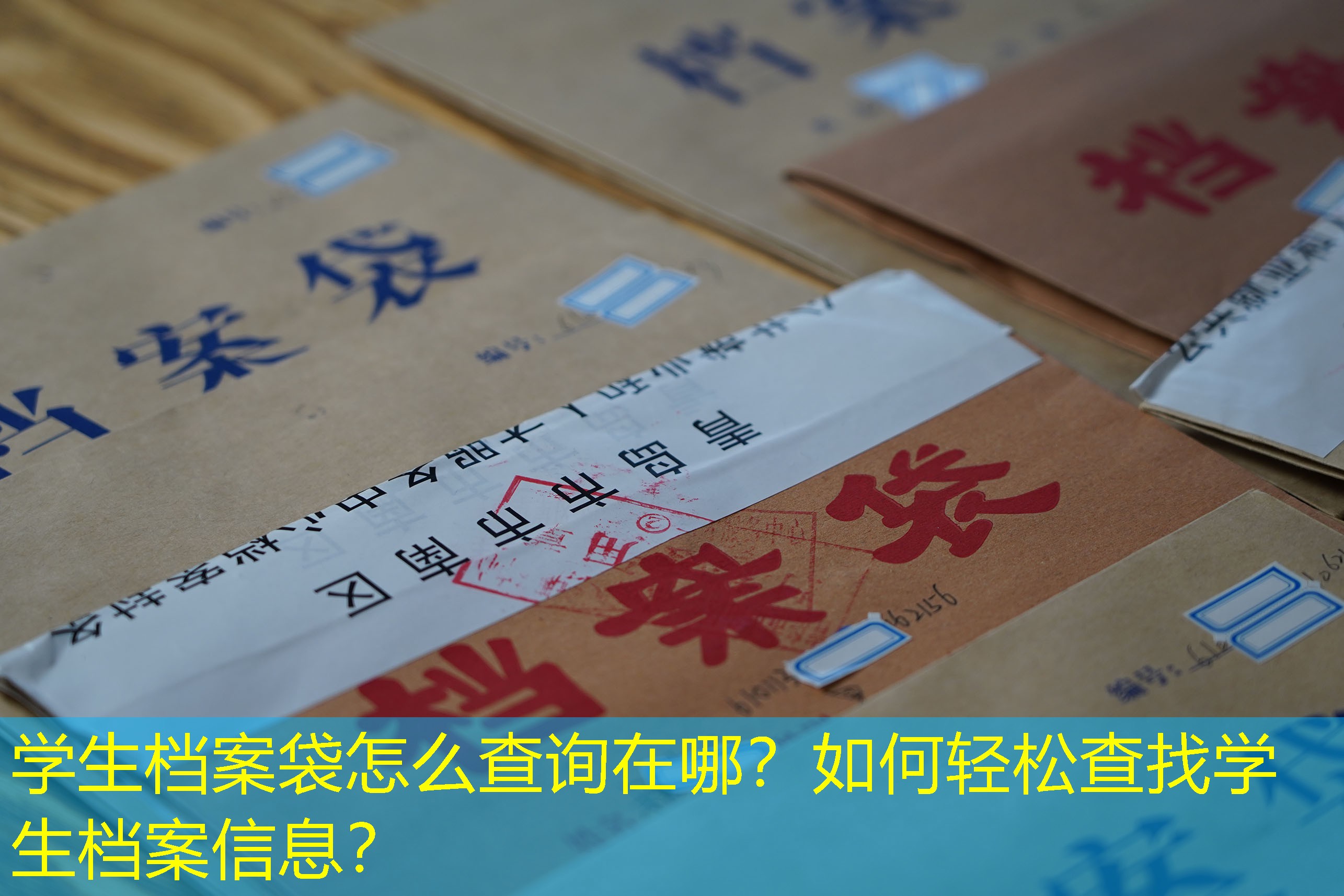 档案查询