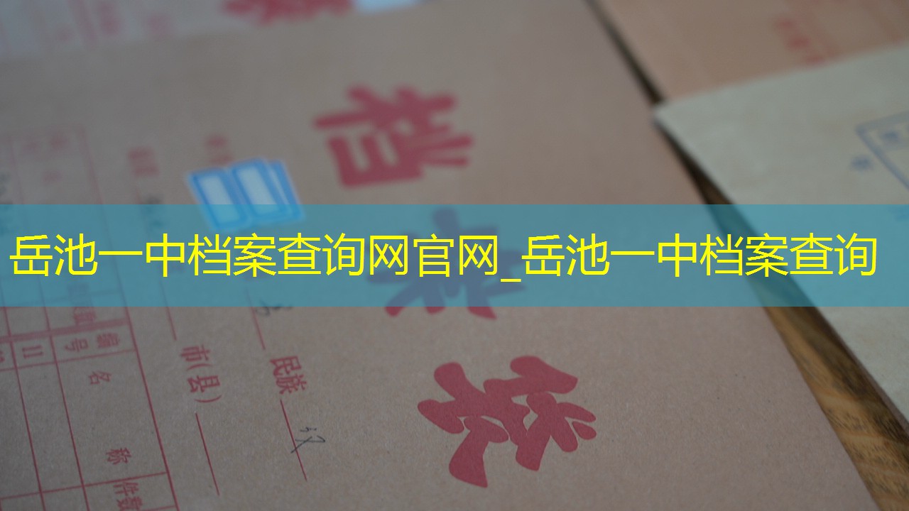 档案查询