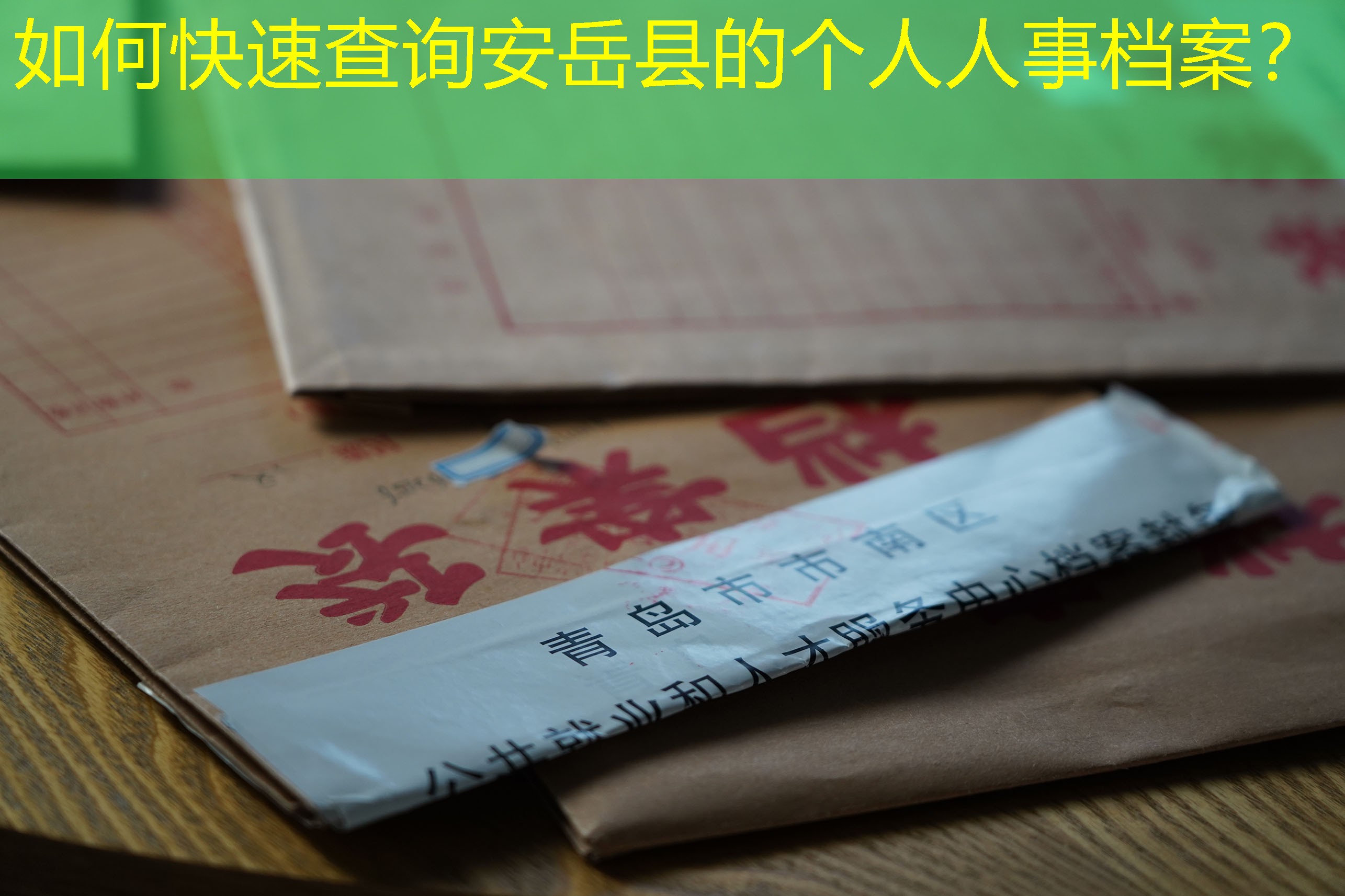 档案查询