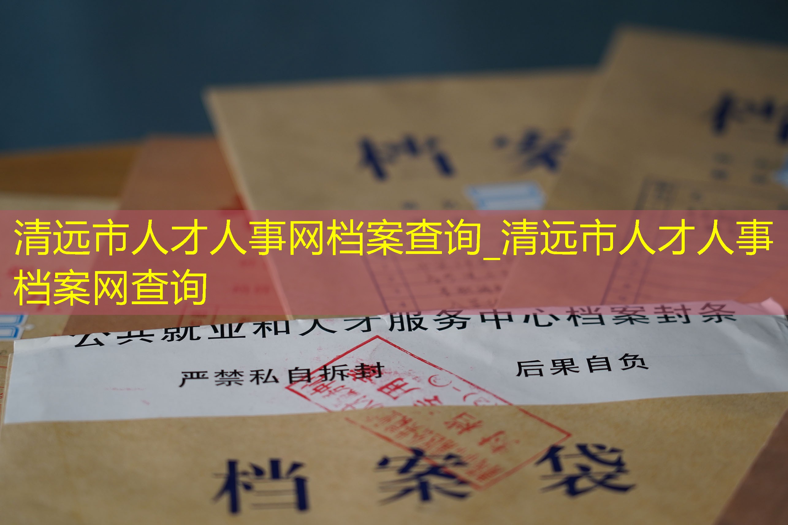 档案查询