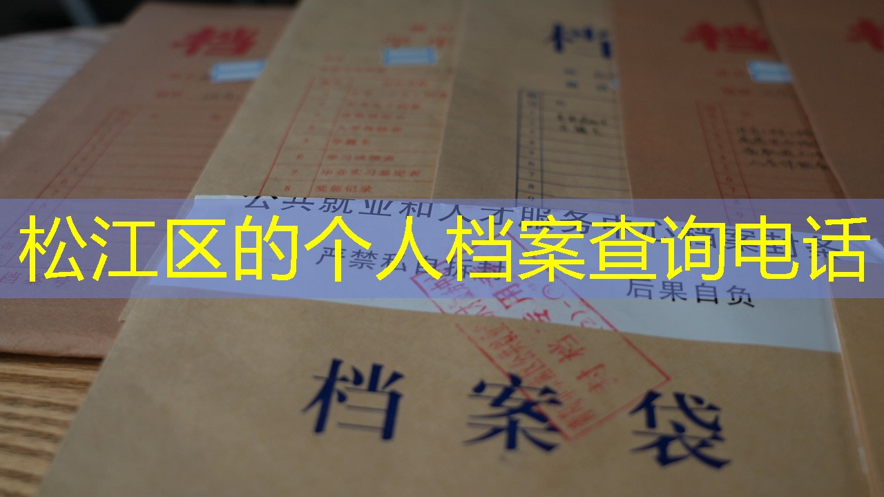 档案查询