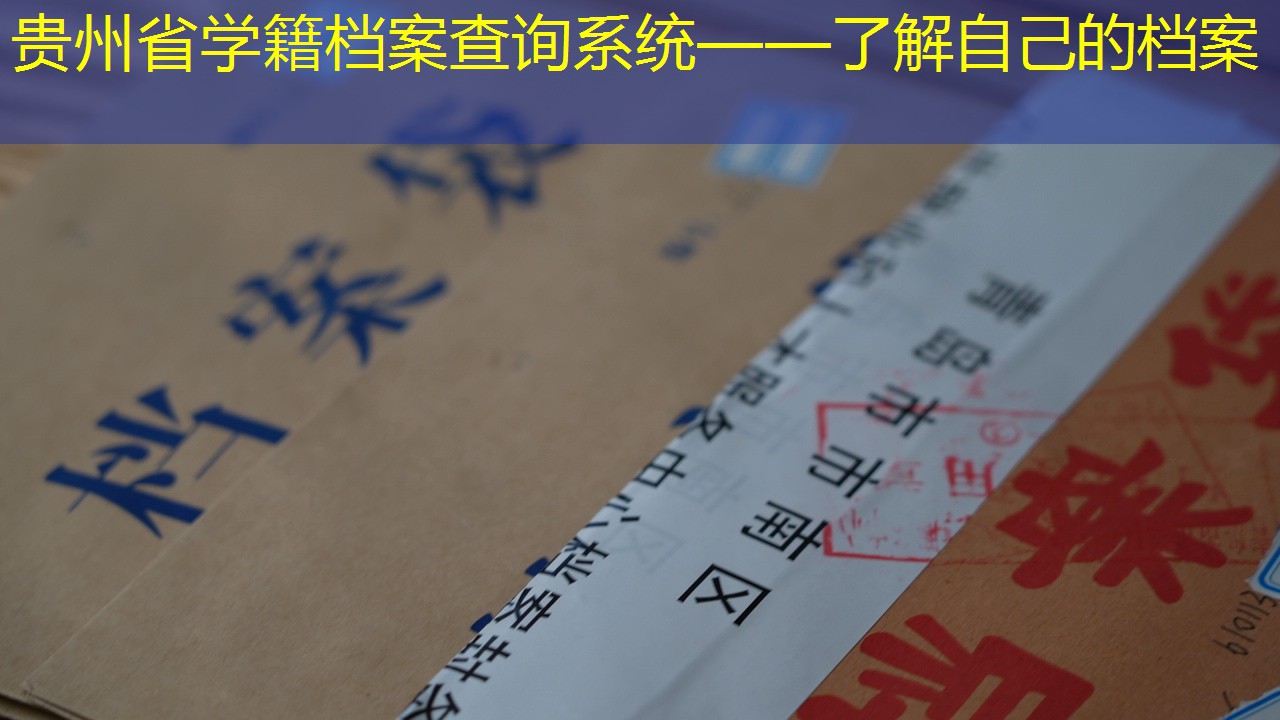 档案查询