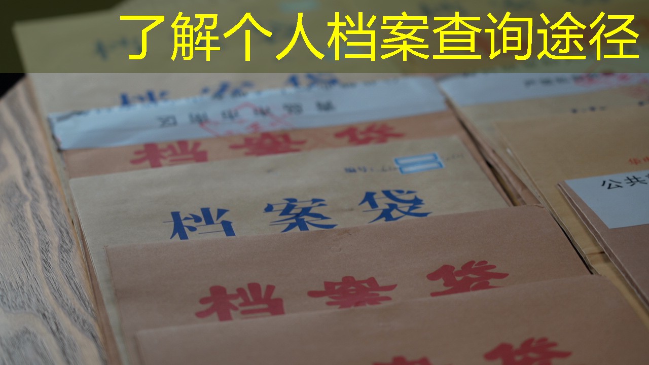 档案查询