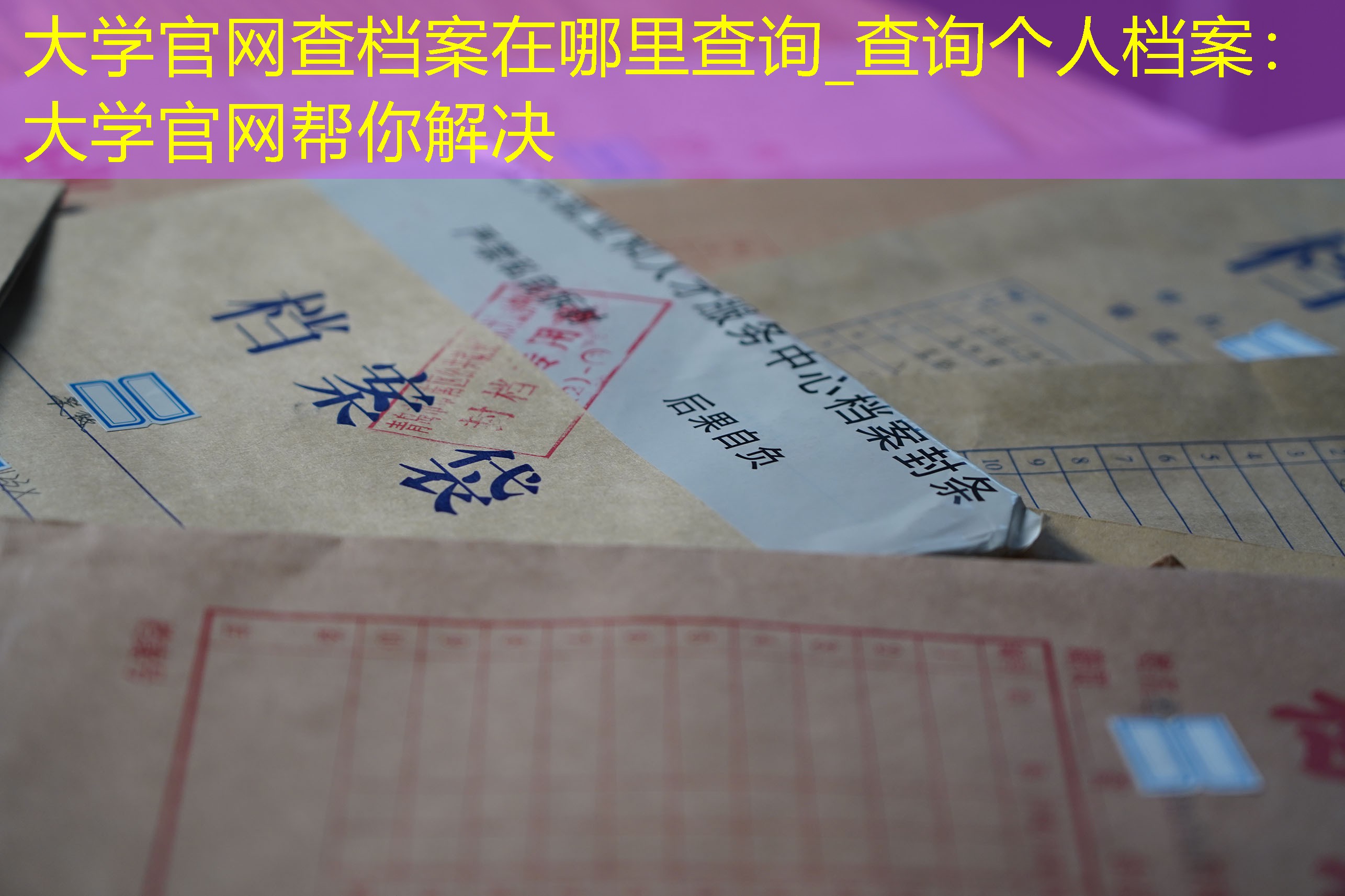 档案查询