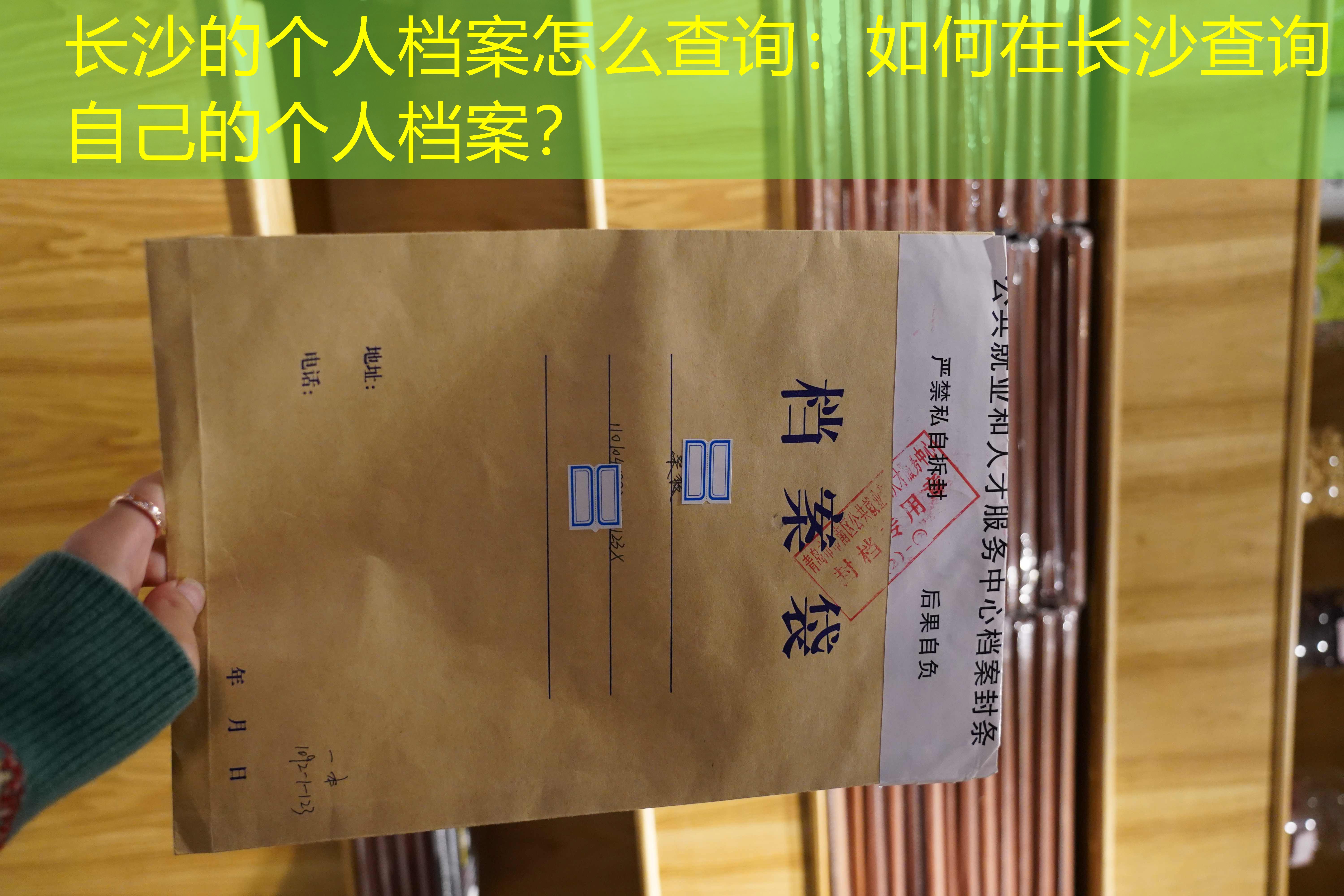 档案查询