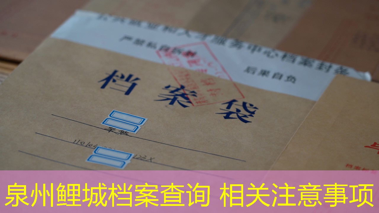 档案查询