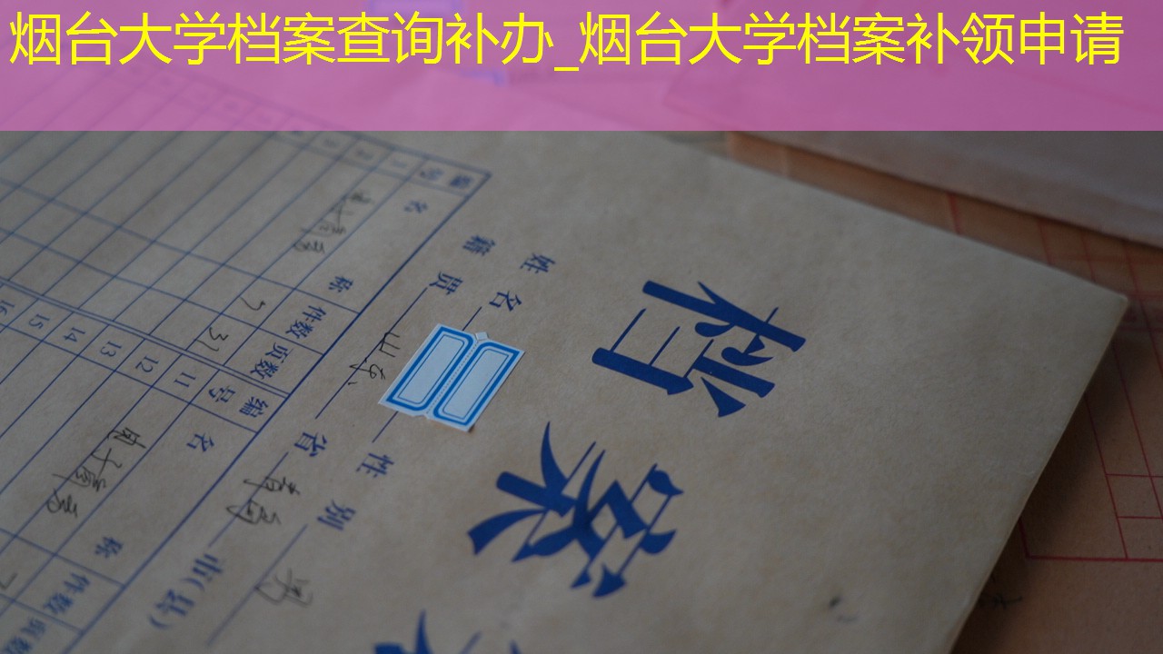 档案查询