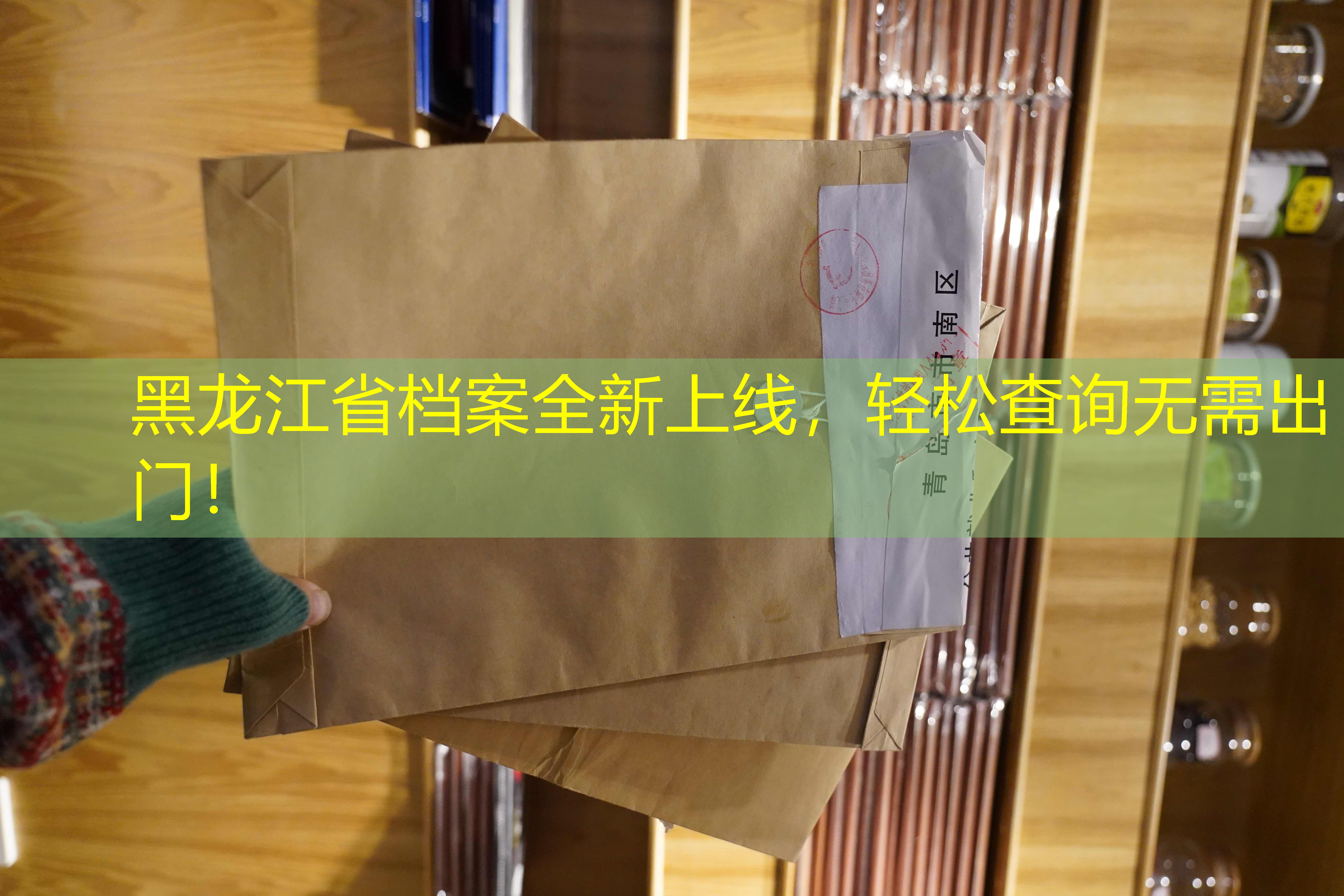 档案查询