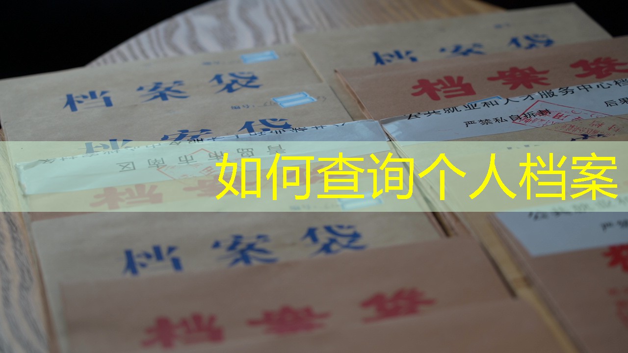 档案查询
