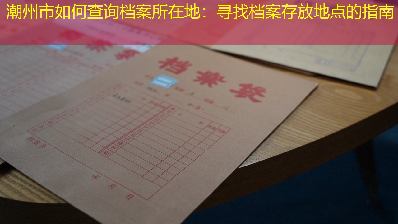 档案查询