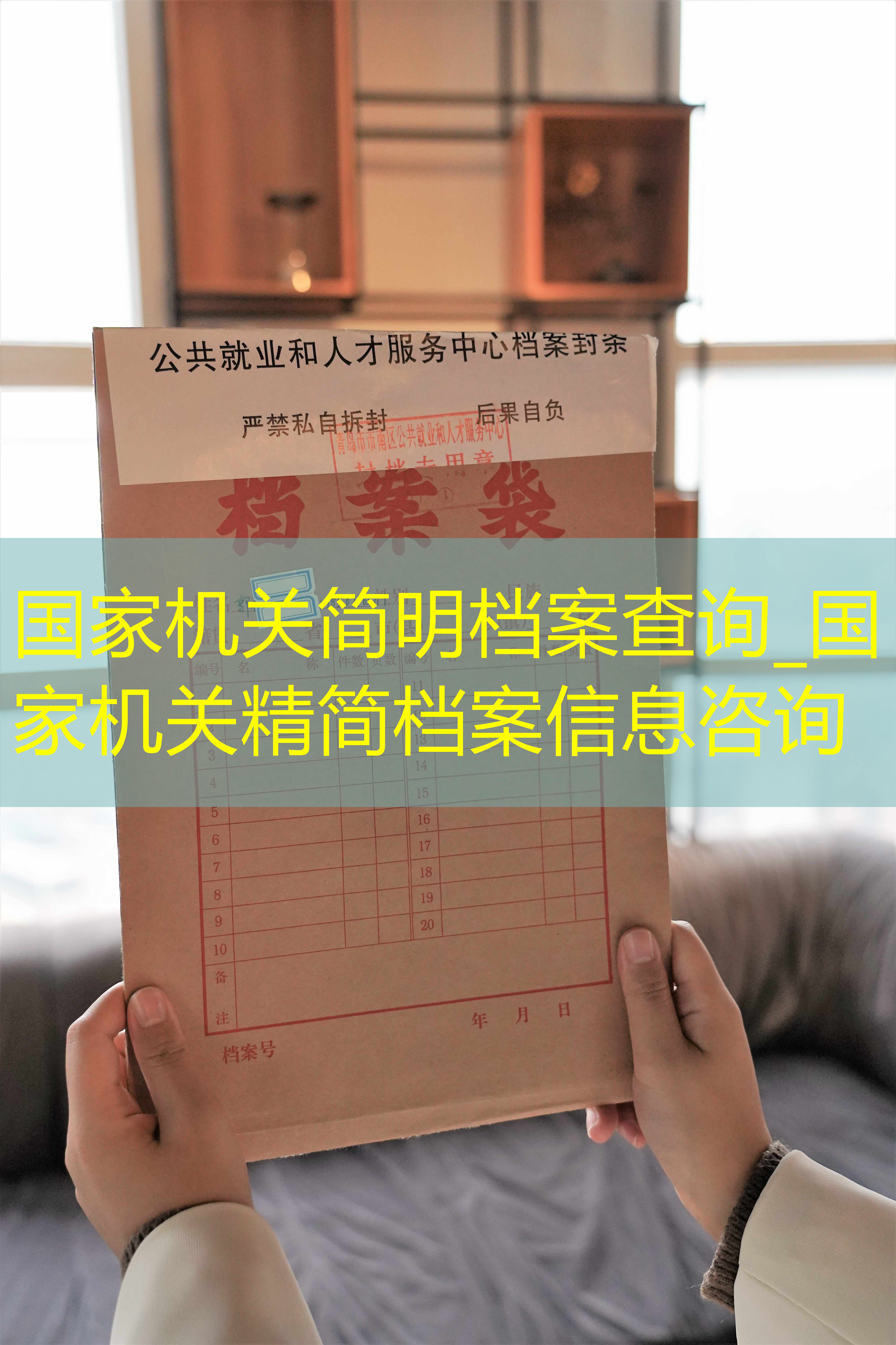 档案查询